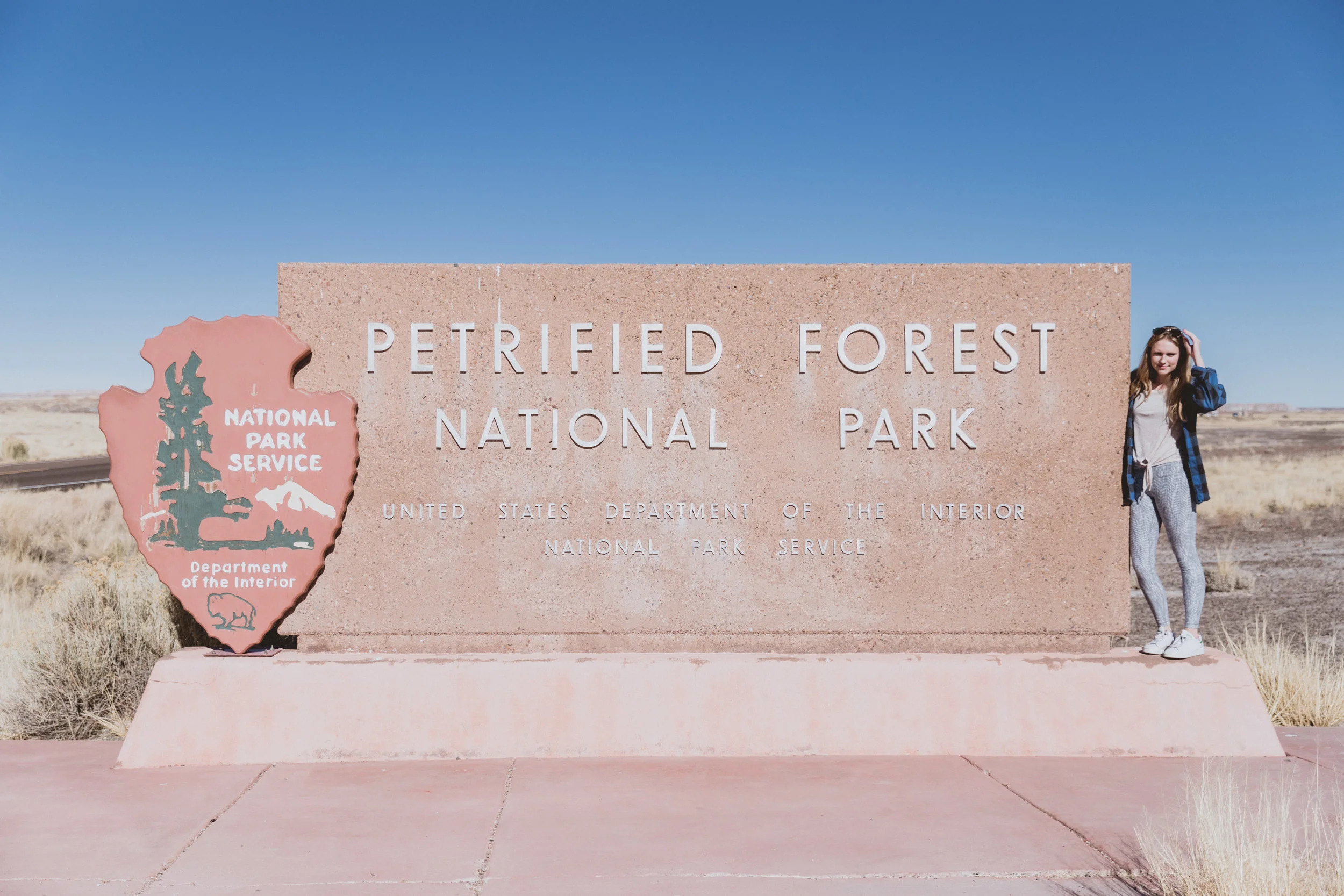 Petrified Forest (3 of 149).jpg