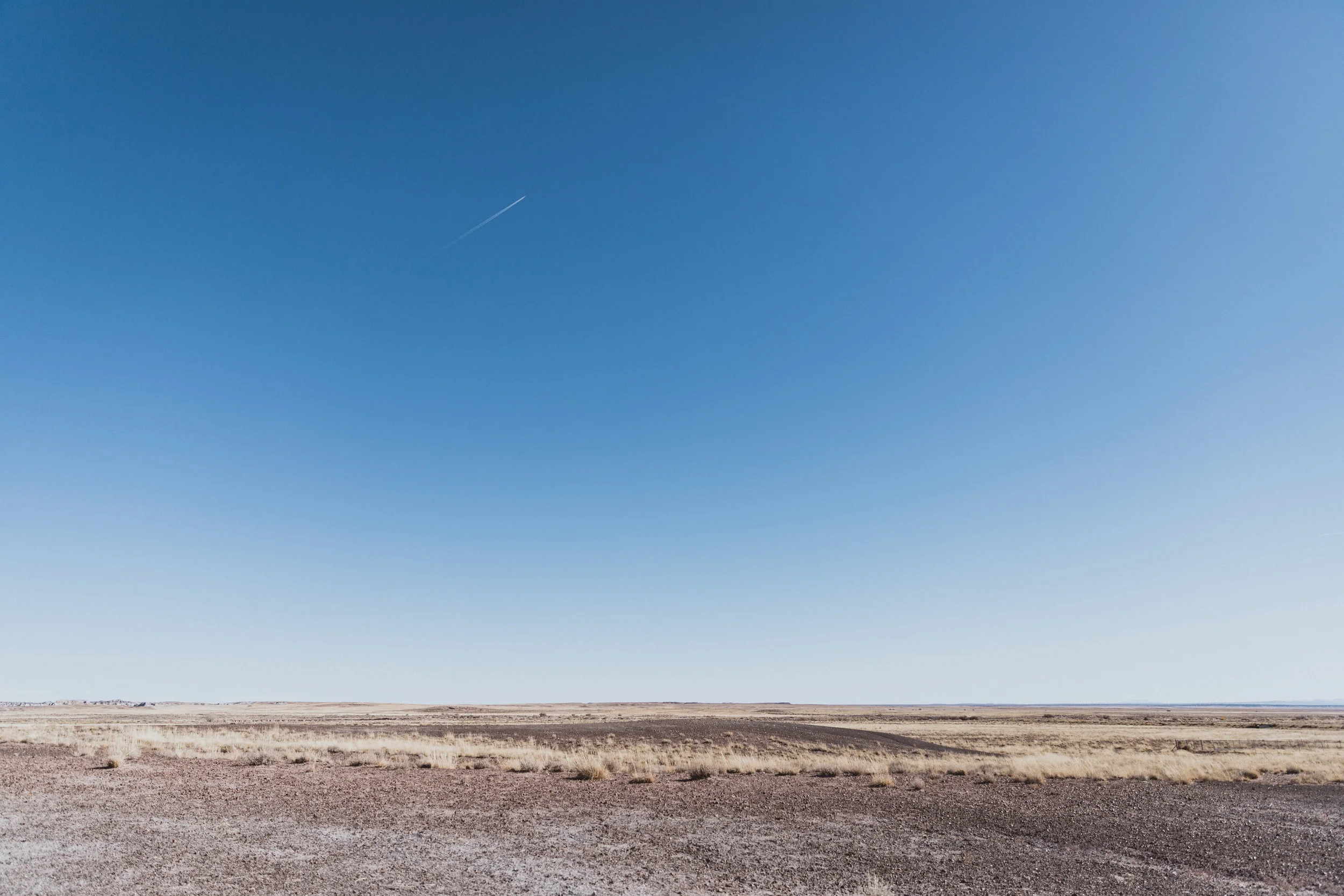 Petrified Forest (11 of 149).jpg