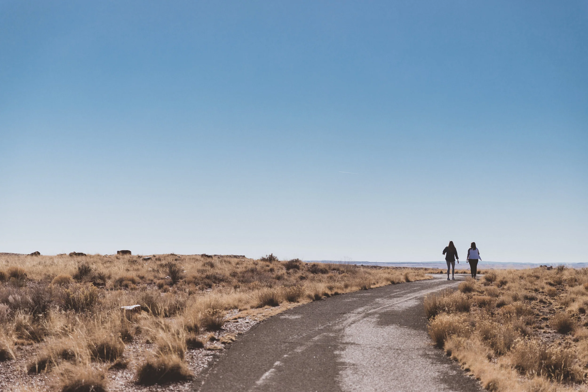 Petrified Forest (18 of 149).jpg