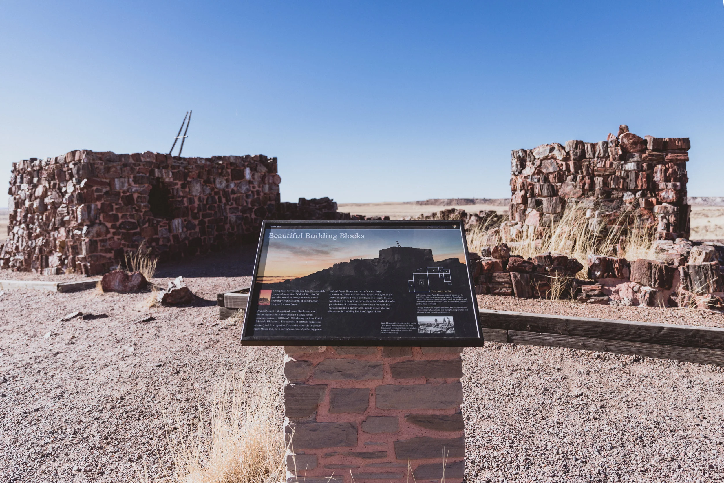 Petrified Forest (39 of 149).jpg