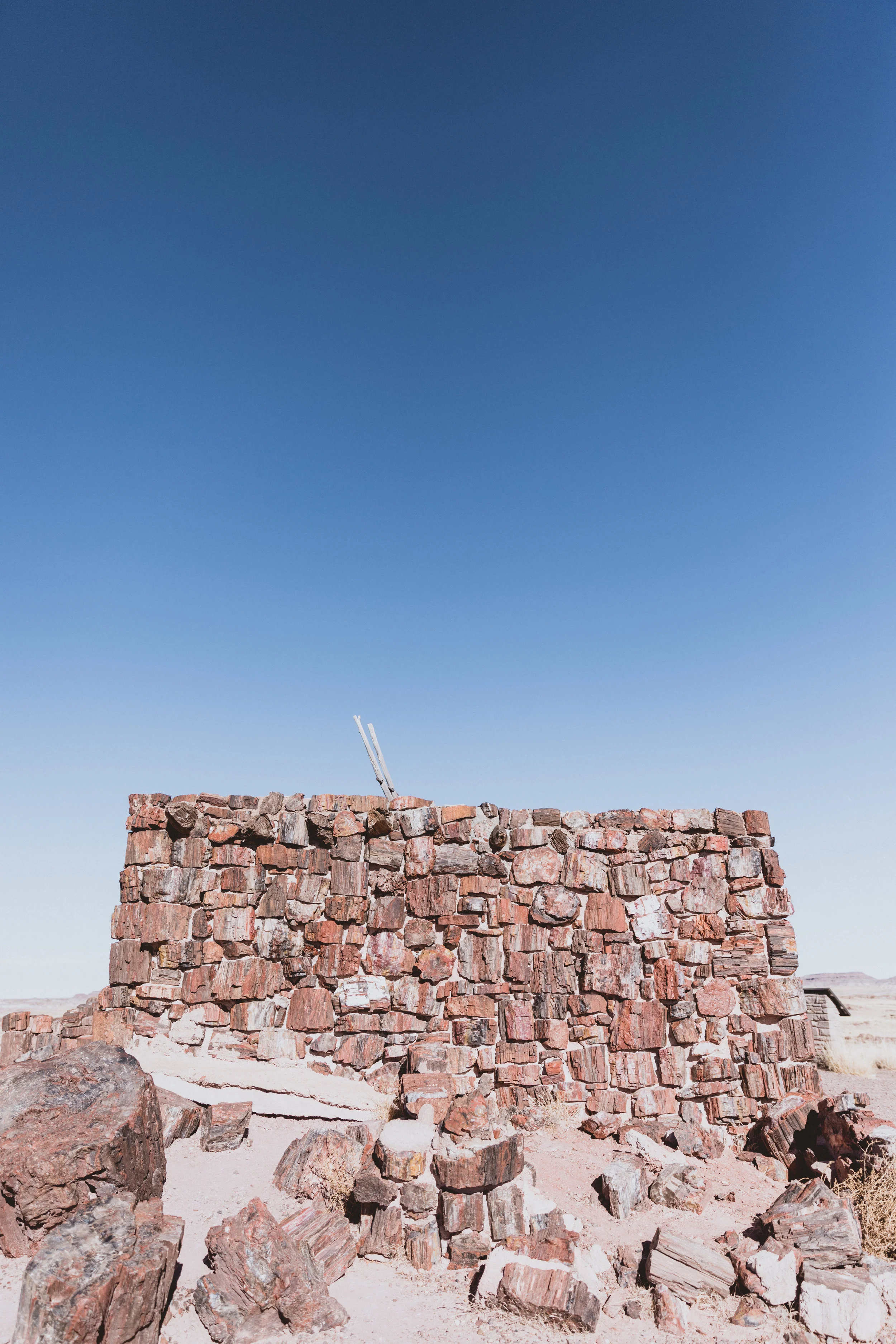 Petrified Forest (34 of 149).jpg