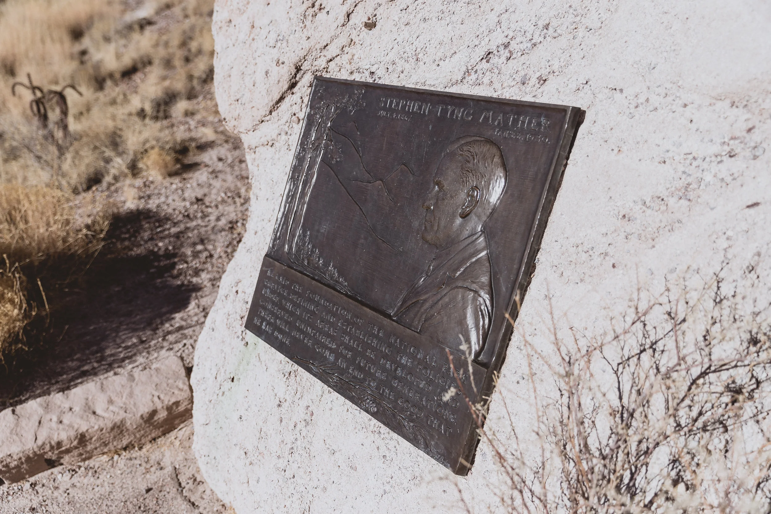 Petrified Forest (49 of 149).jpg