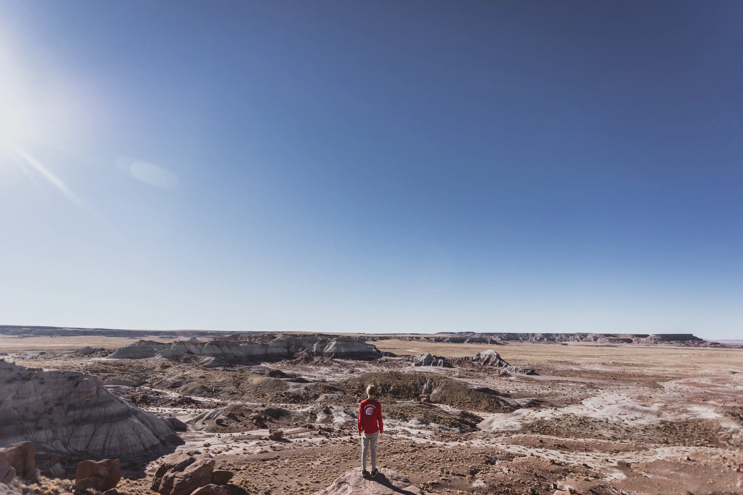 Petrified Forest (50 of 149).jpg