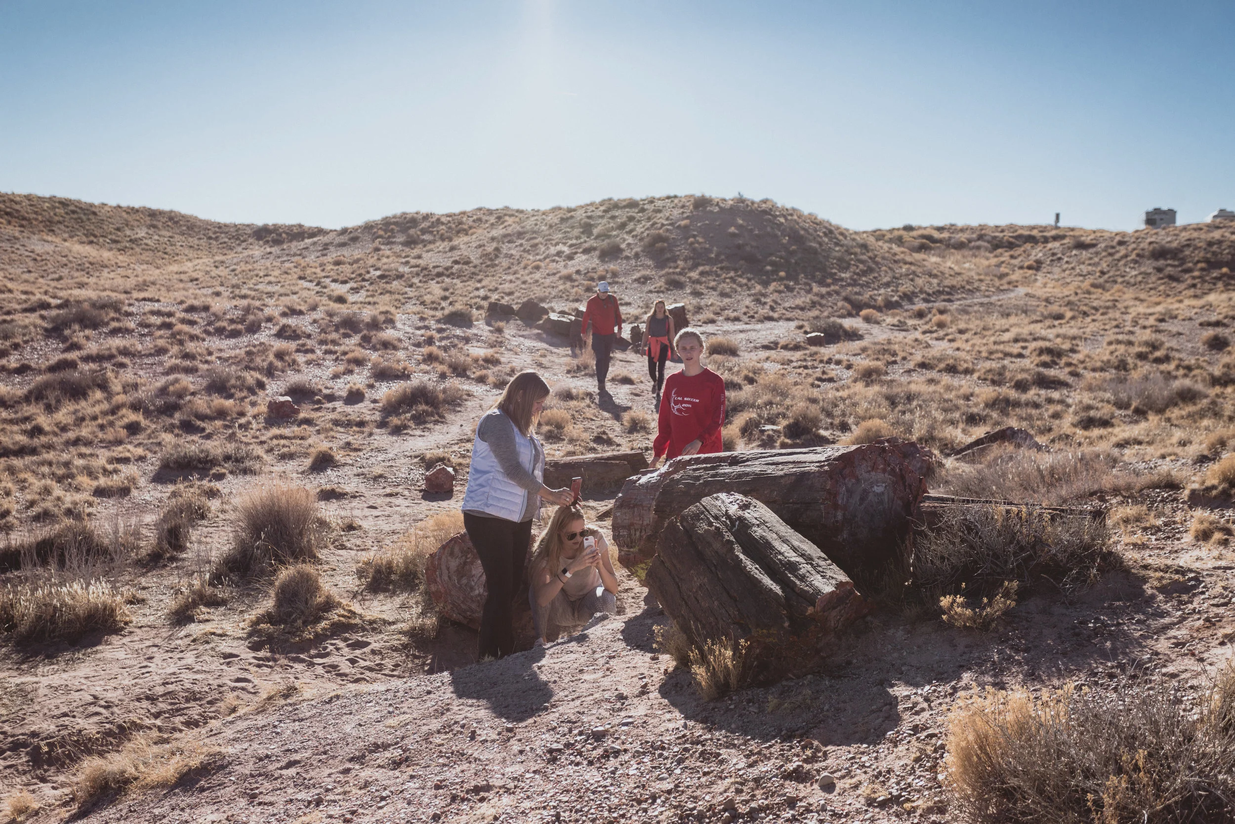 Petrified Forest (55 of 149).jpg