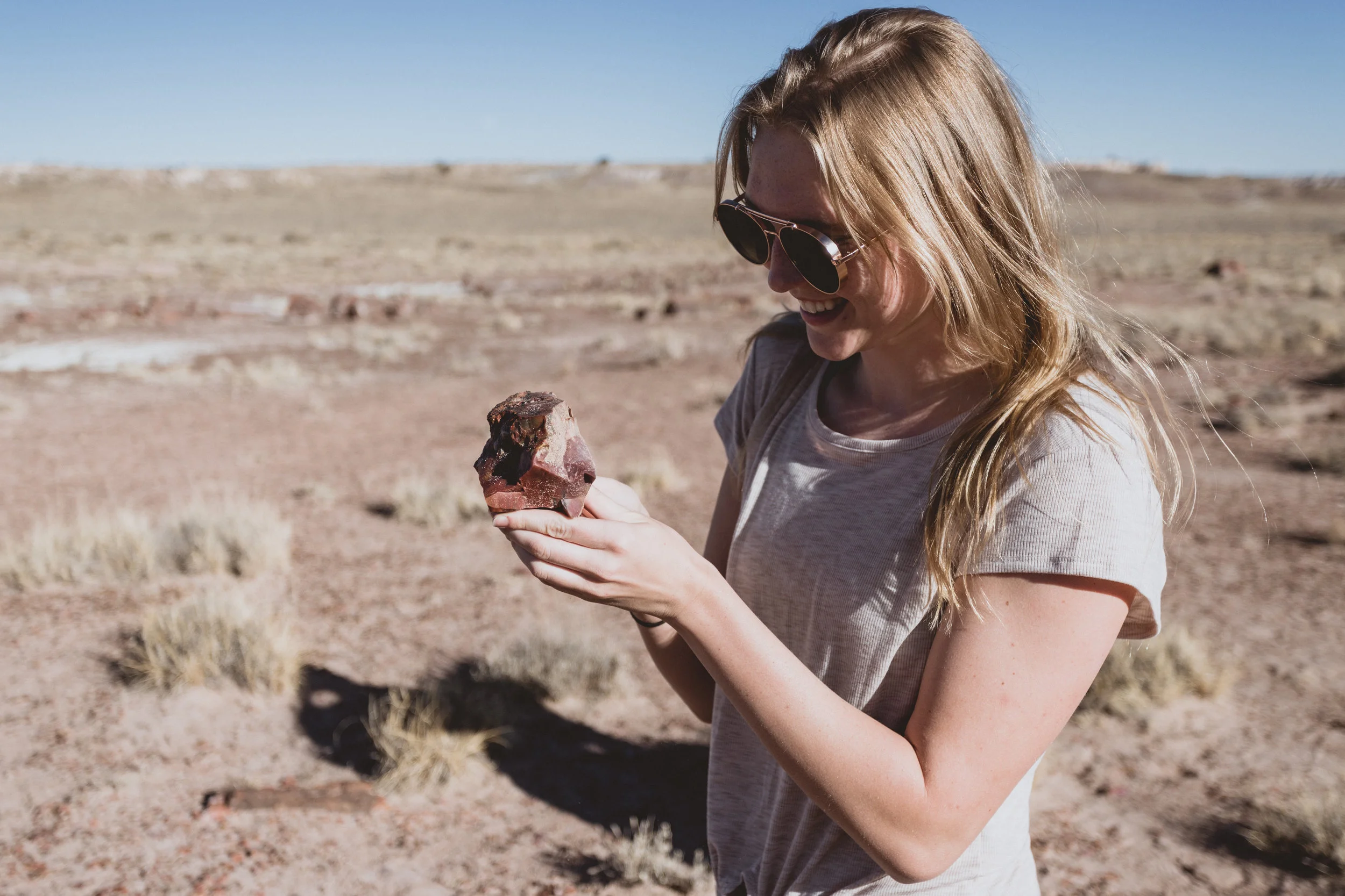 Petrified Forest (58 of 149).jpg