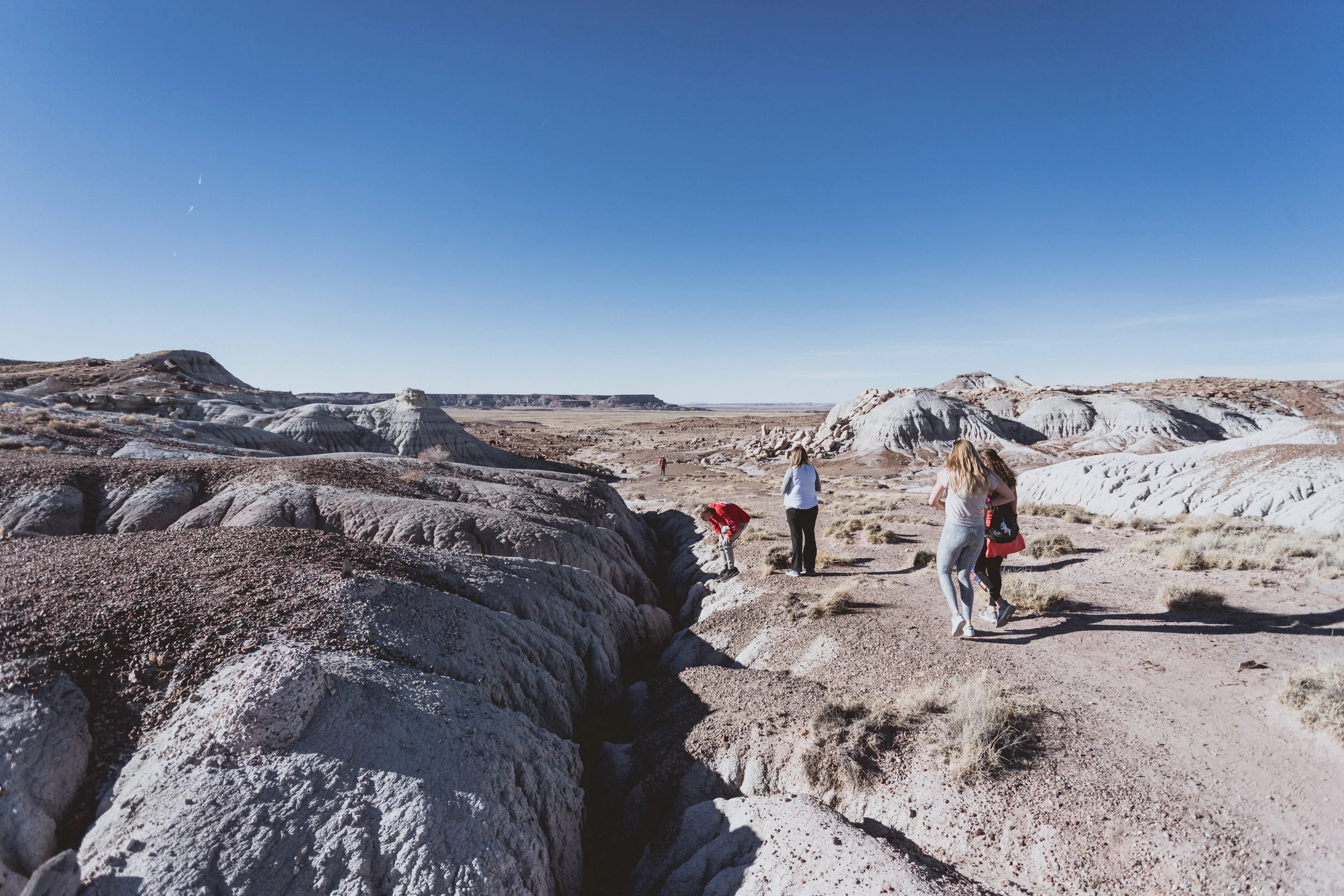 Petrified Forest (64 of 149).jpg