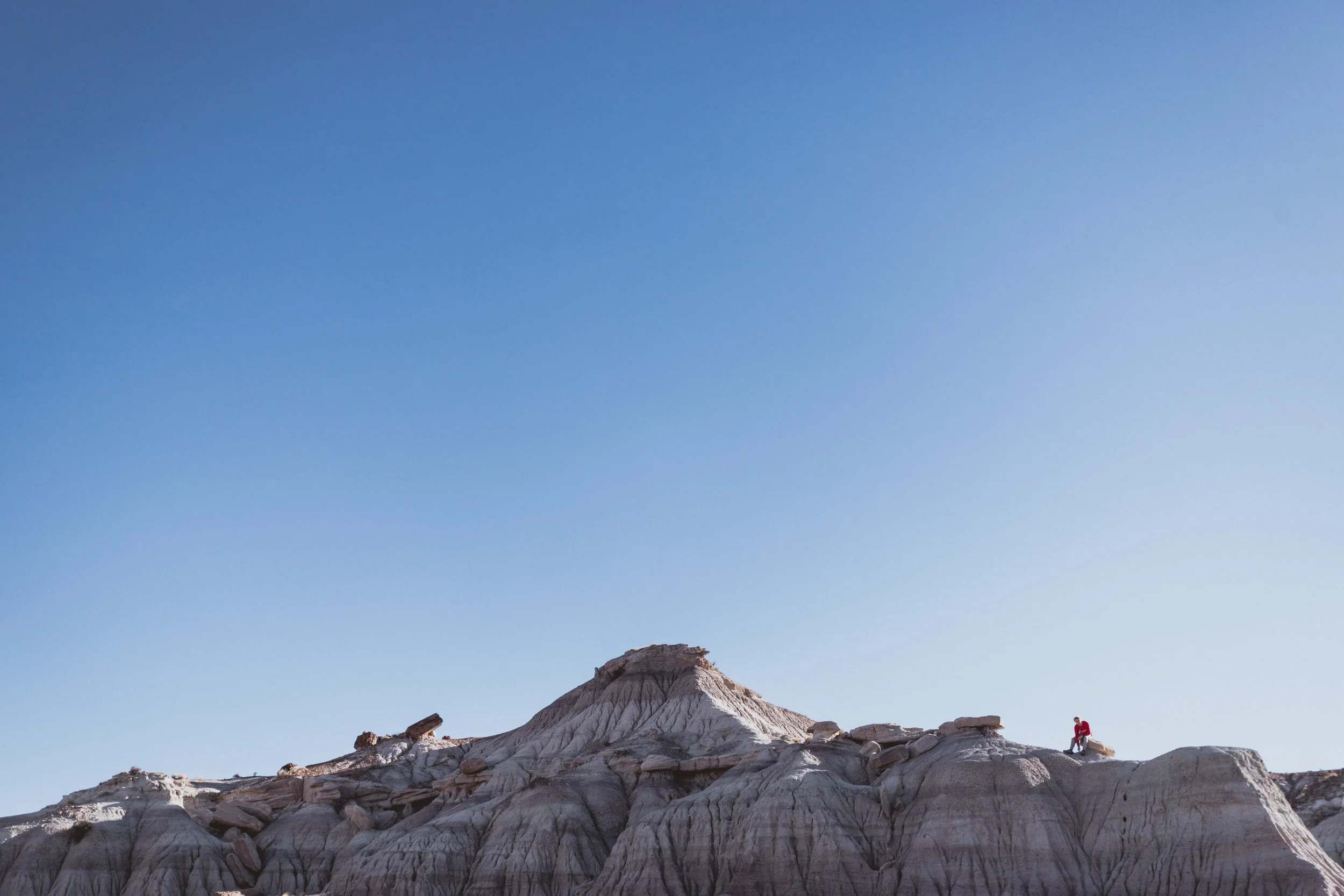 Petrified Forest (71 of 149).jpg