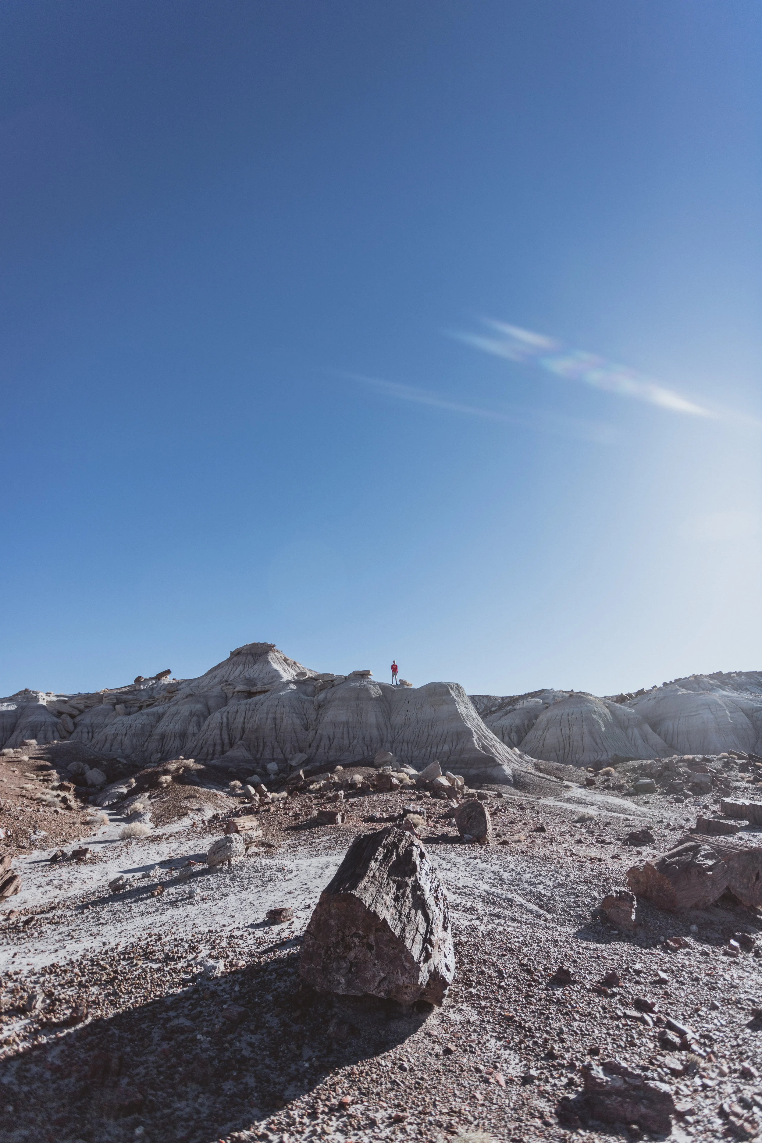 Petrified Forest (73 of 149).jpg