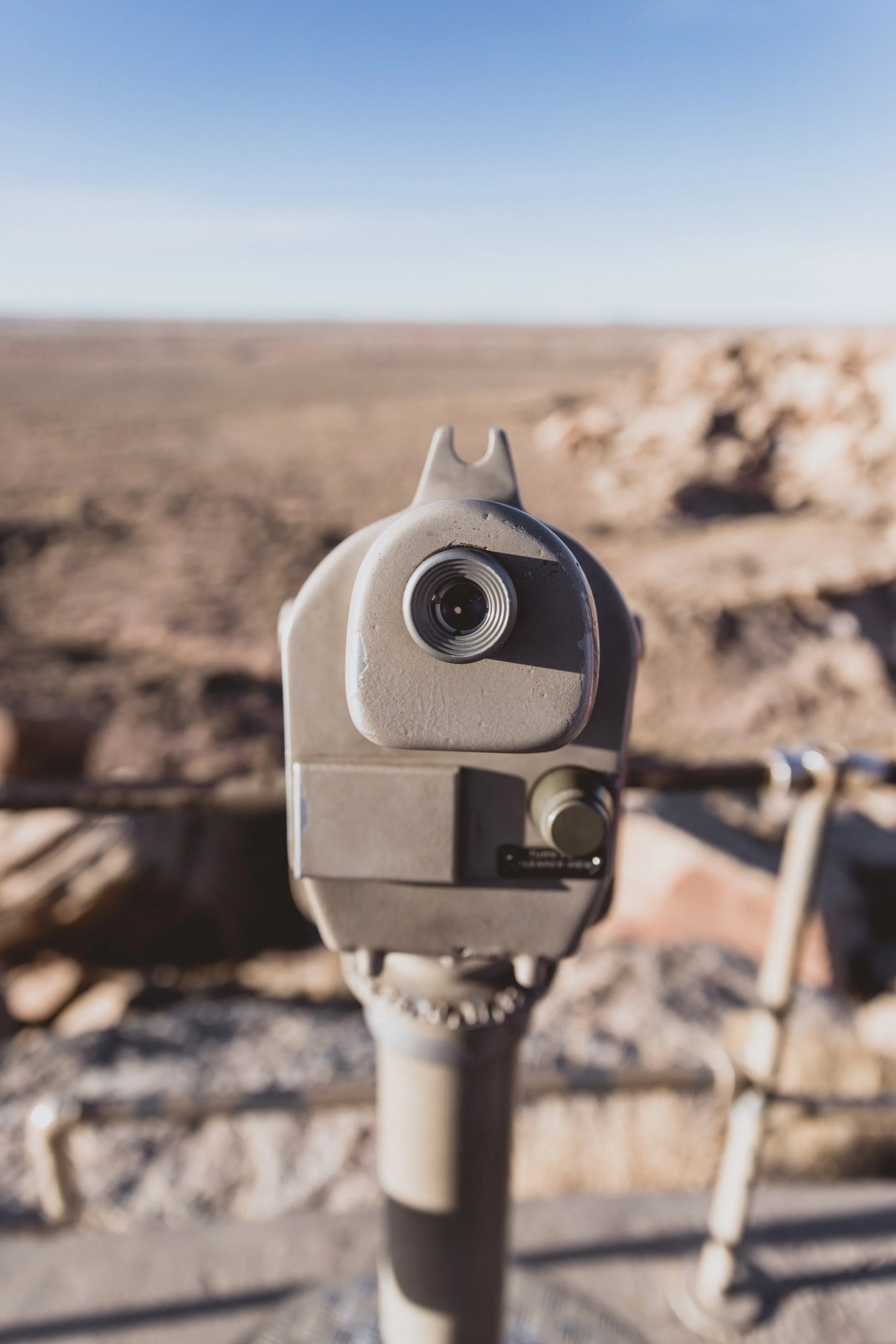 Petrified Forest (111 of 149).jpg