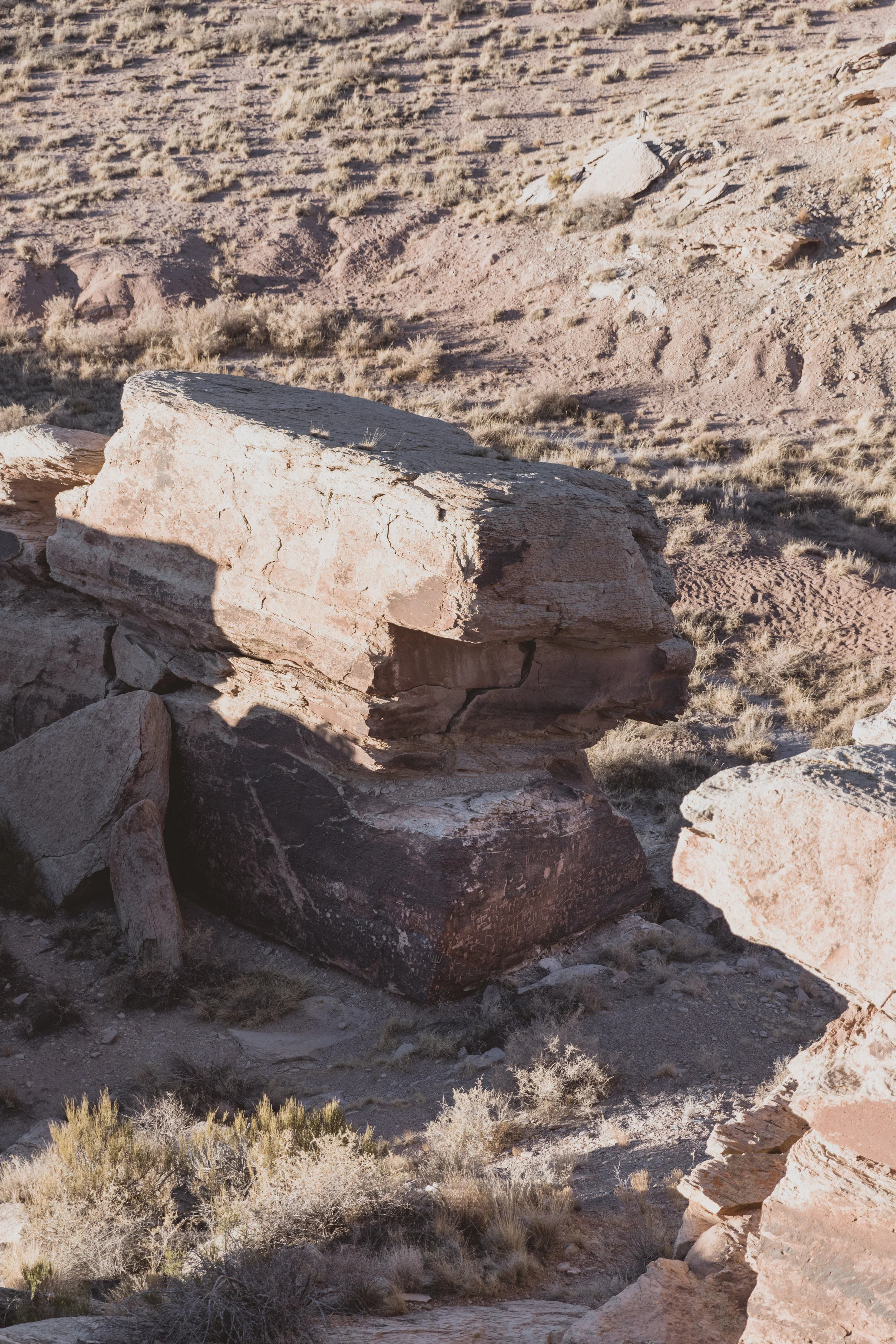Petrified Forest (112 of 149).jpg