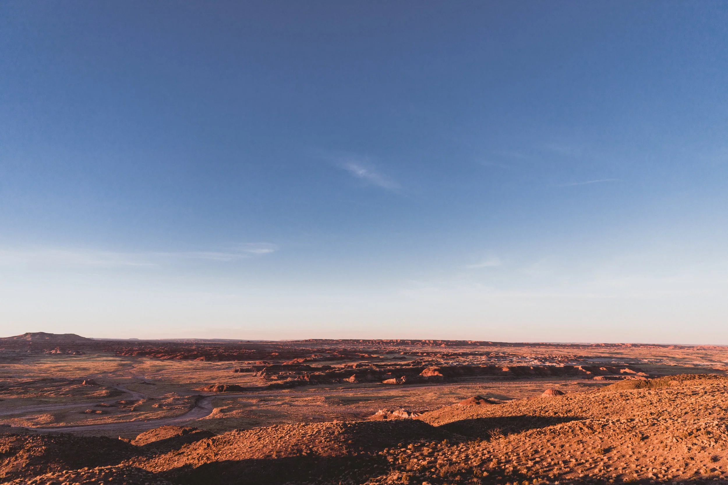 Petrified Forest (144 of 149).jpg