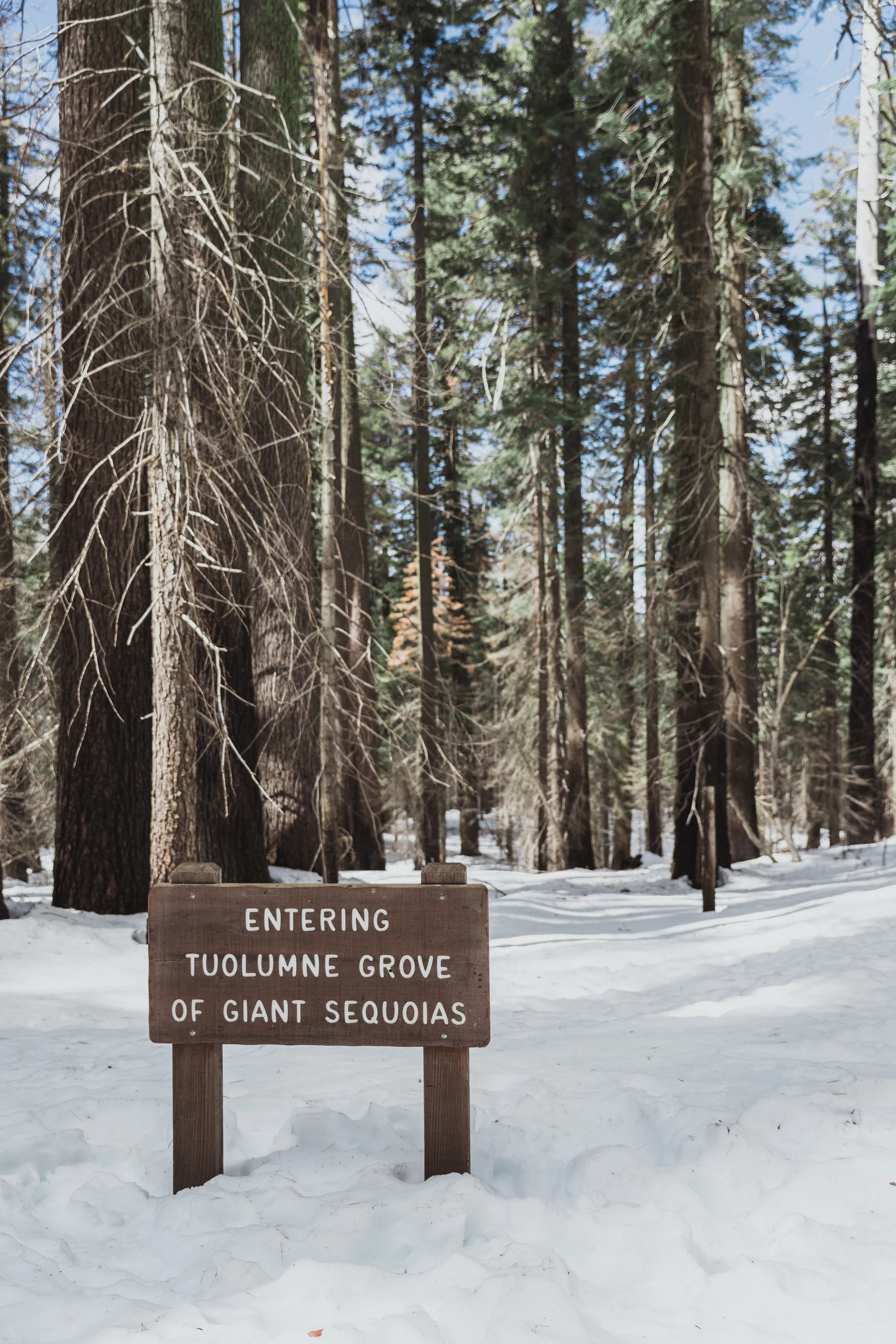 Yosemite Edits (174 of 215).jpg