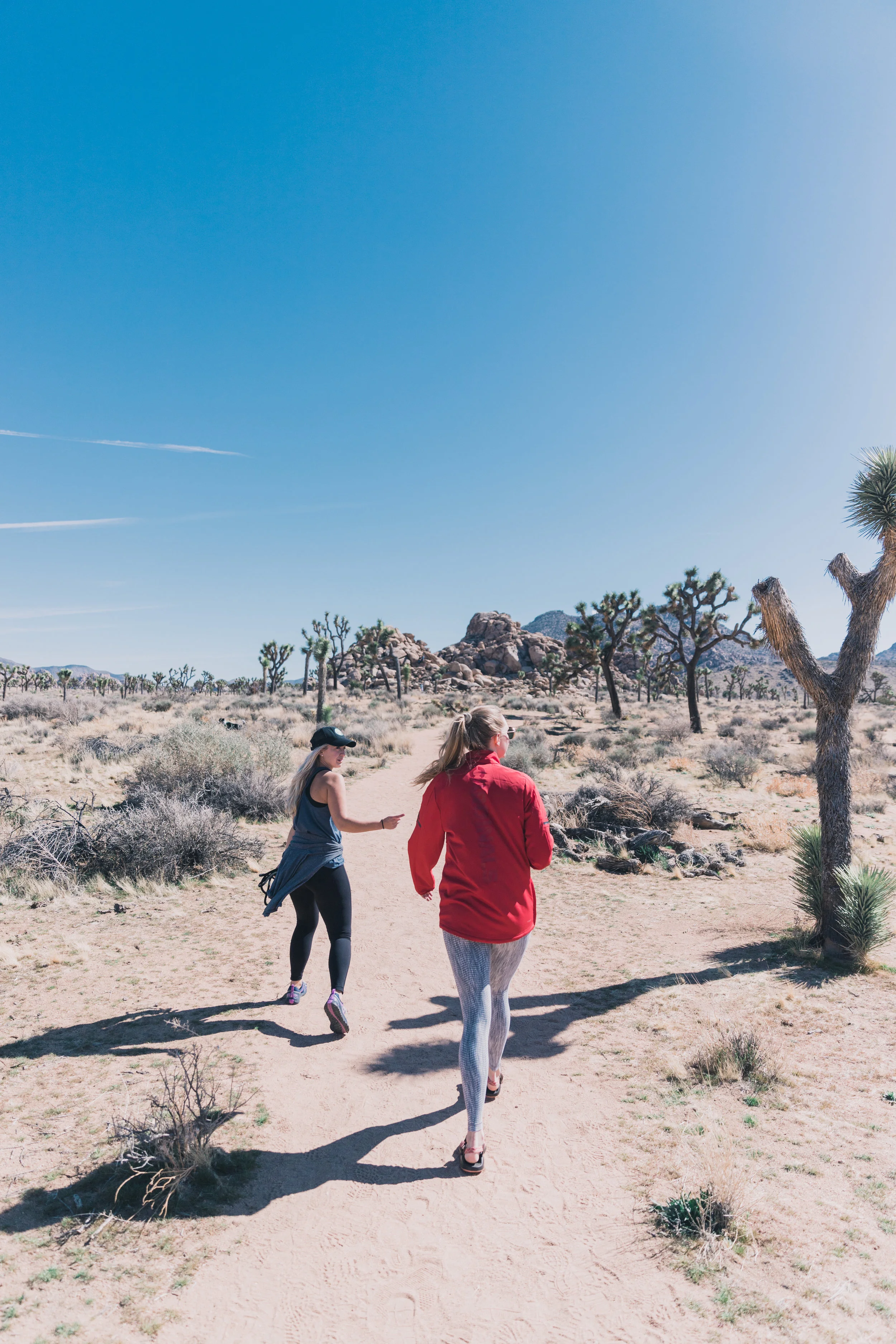 Joshua Tree Edits (23 of 156).jpg