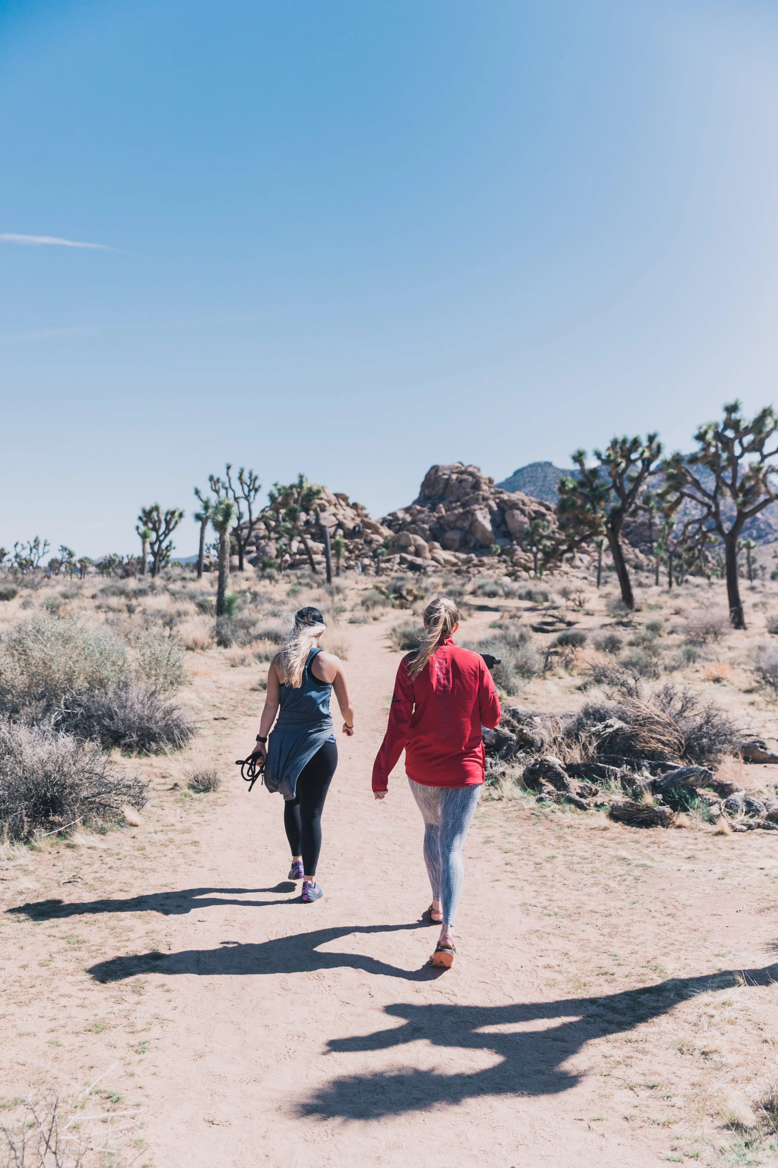 Joshua Tree Edits (24 of 156).jpg