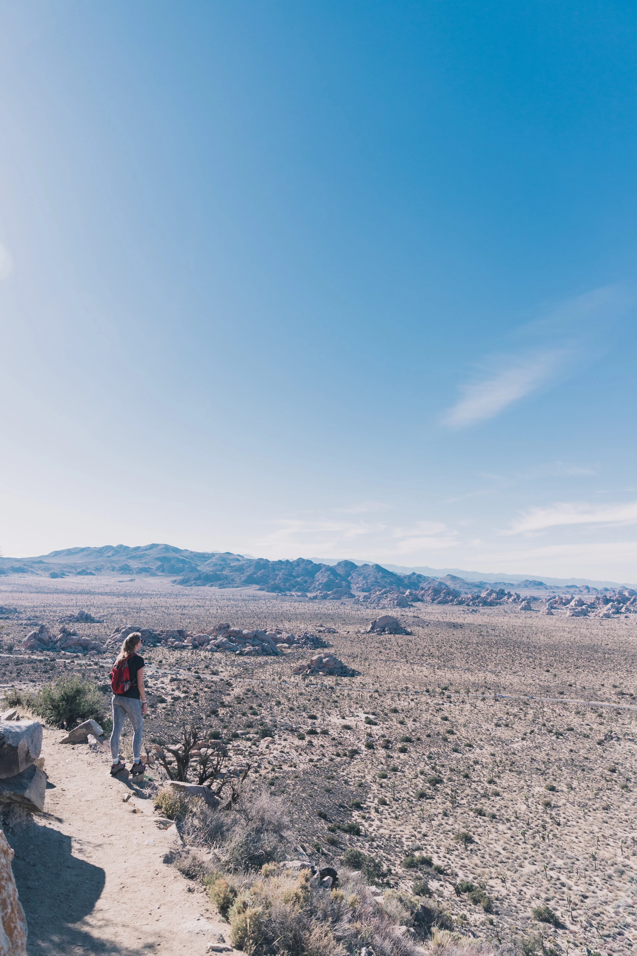Joshua Tree Edits (76 of 156).jpg