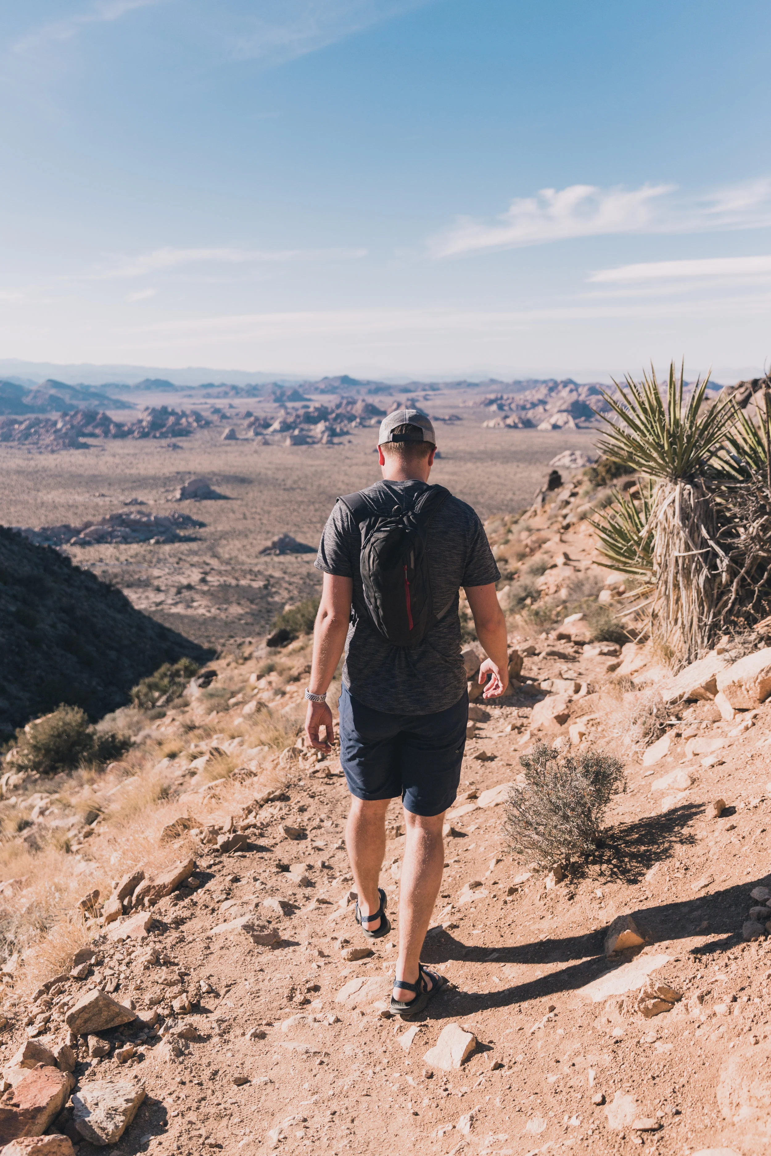 Joshua Tree Edits (105 of 156).jpg