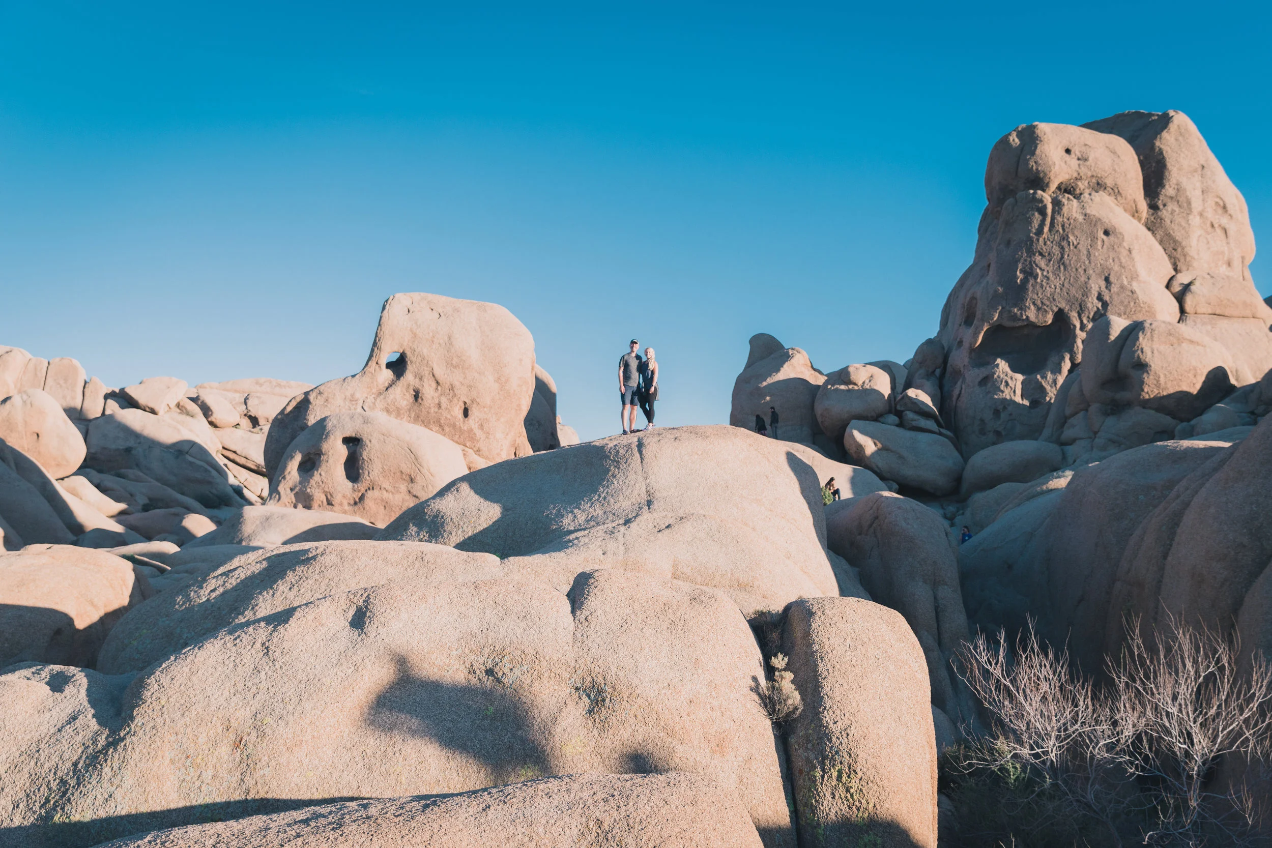 Joshua Tree Edits (122 of 156).jpg