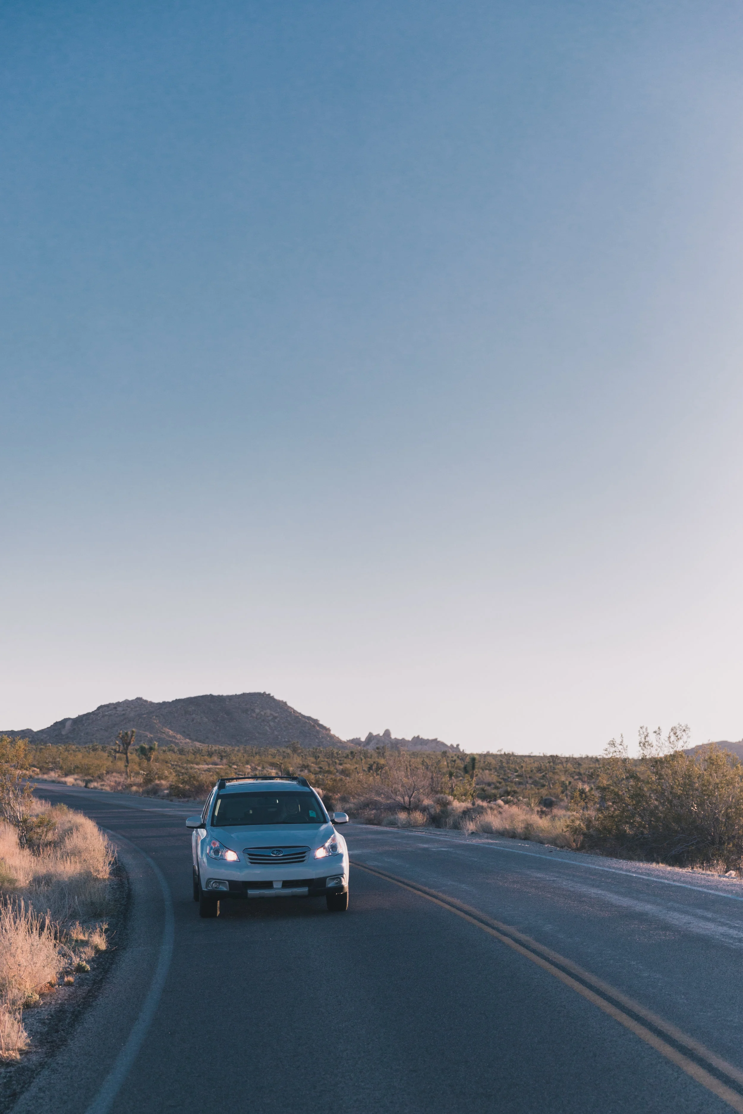 Joshua Tree Edits (128 of 156).jpg
