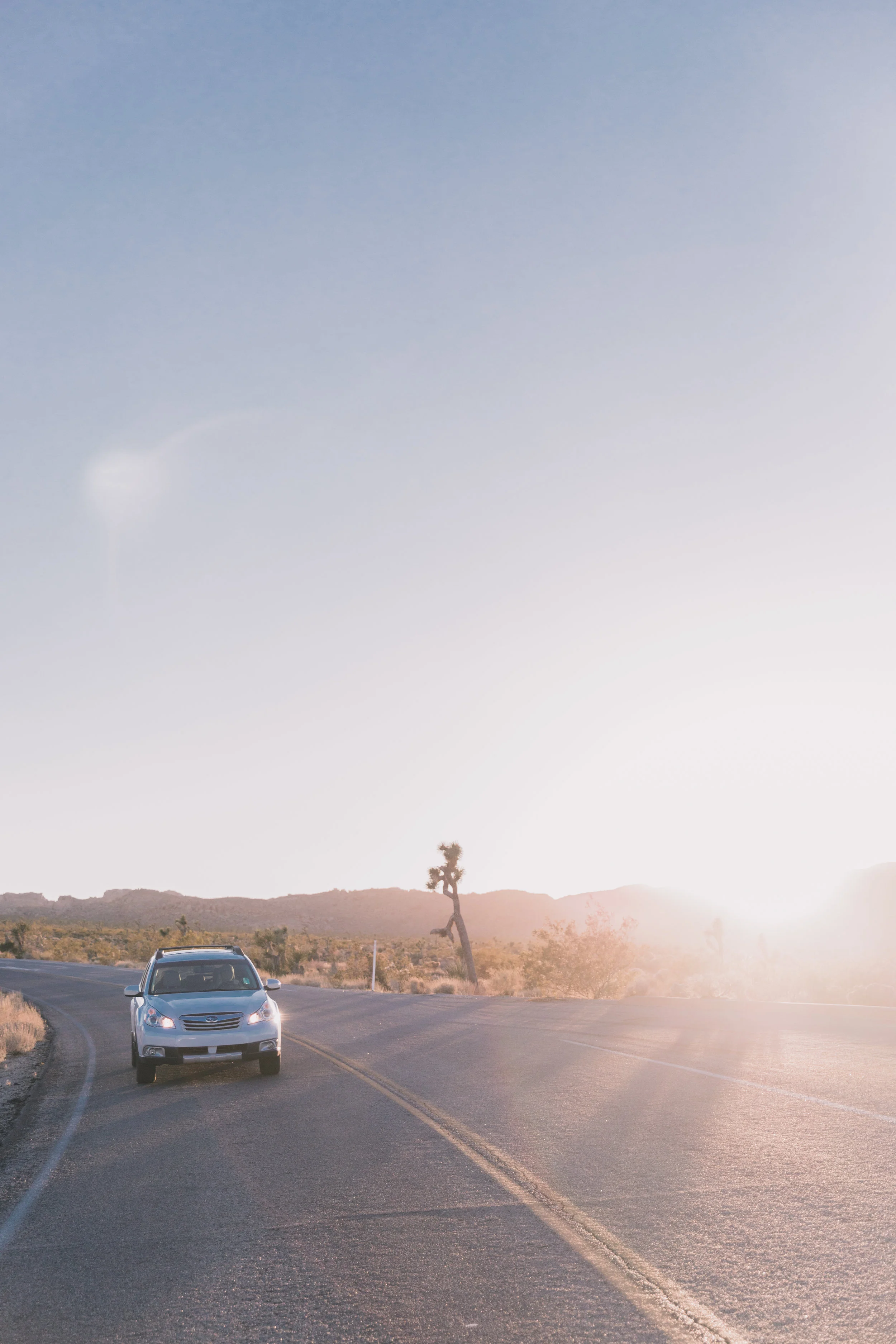 Joshua Tree Edits (130 of 156).jpg