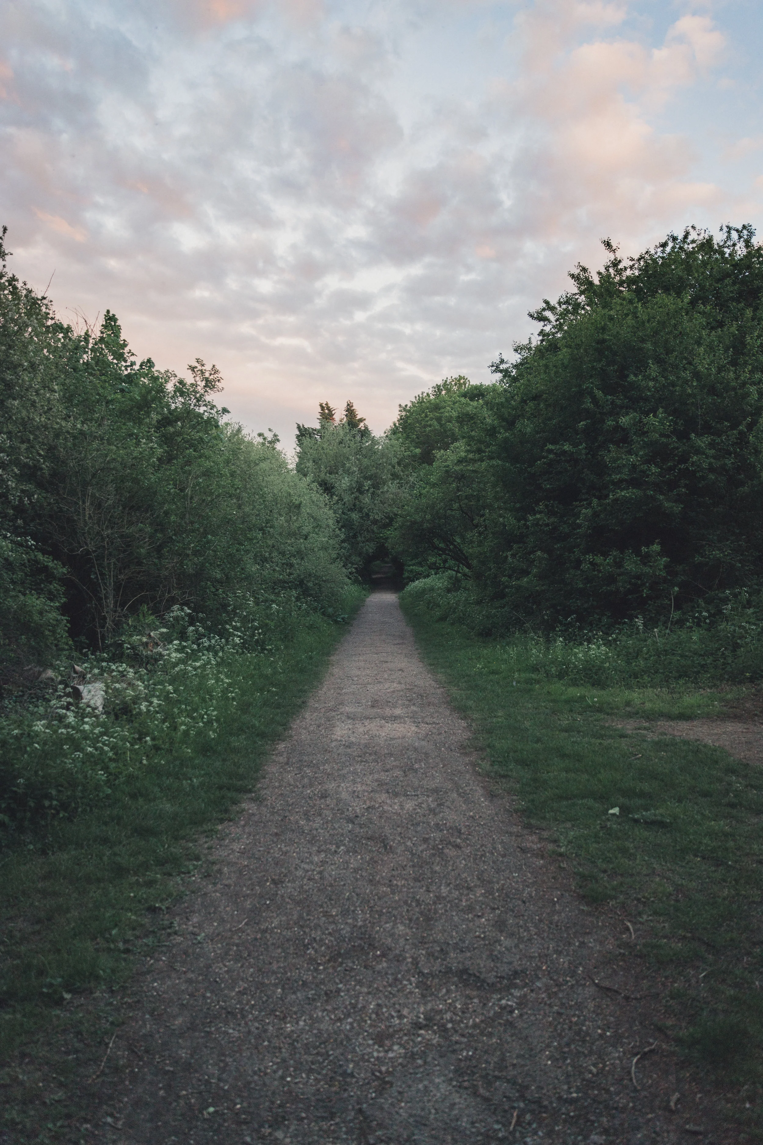 Scenes2018-137.jpg