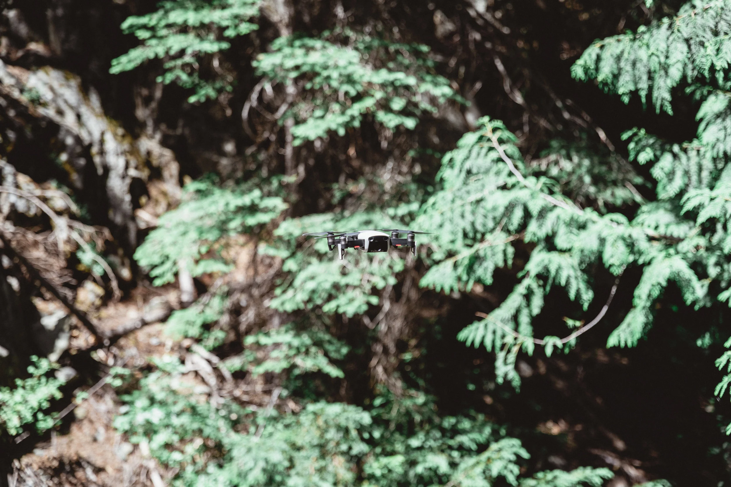 North Cascades Edits-90.jpg