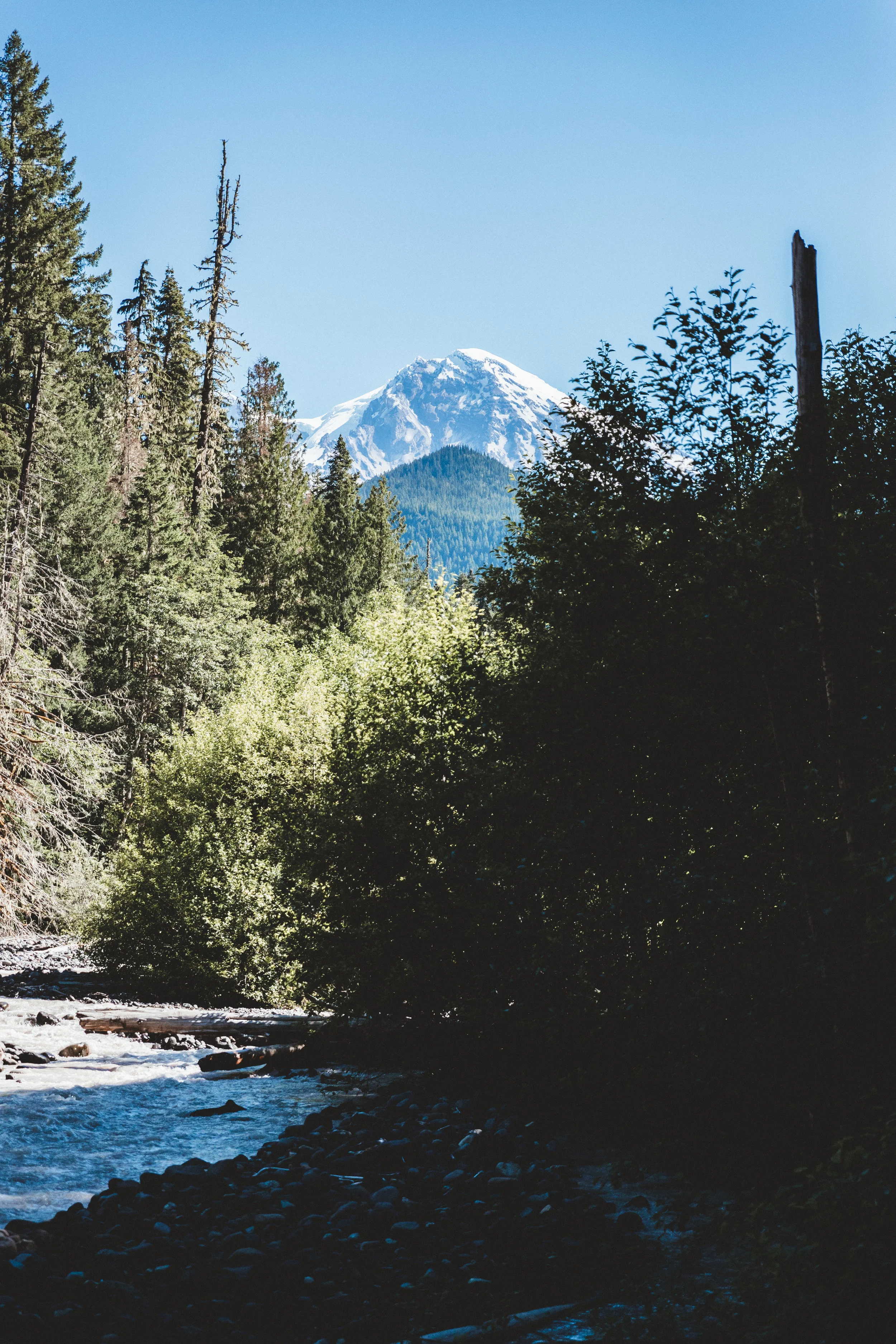 Rainier Edits-8.jpg