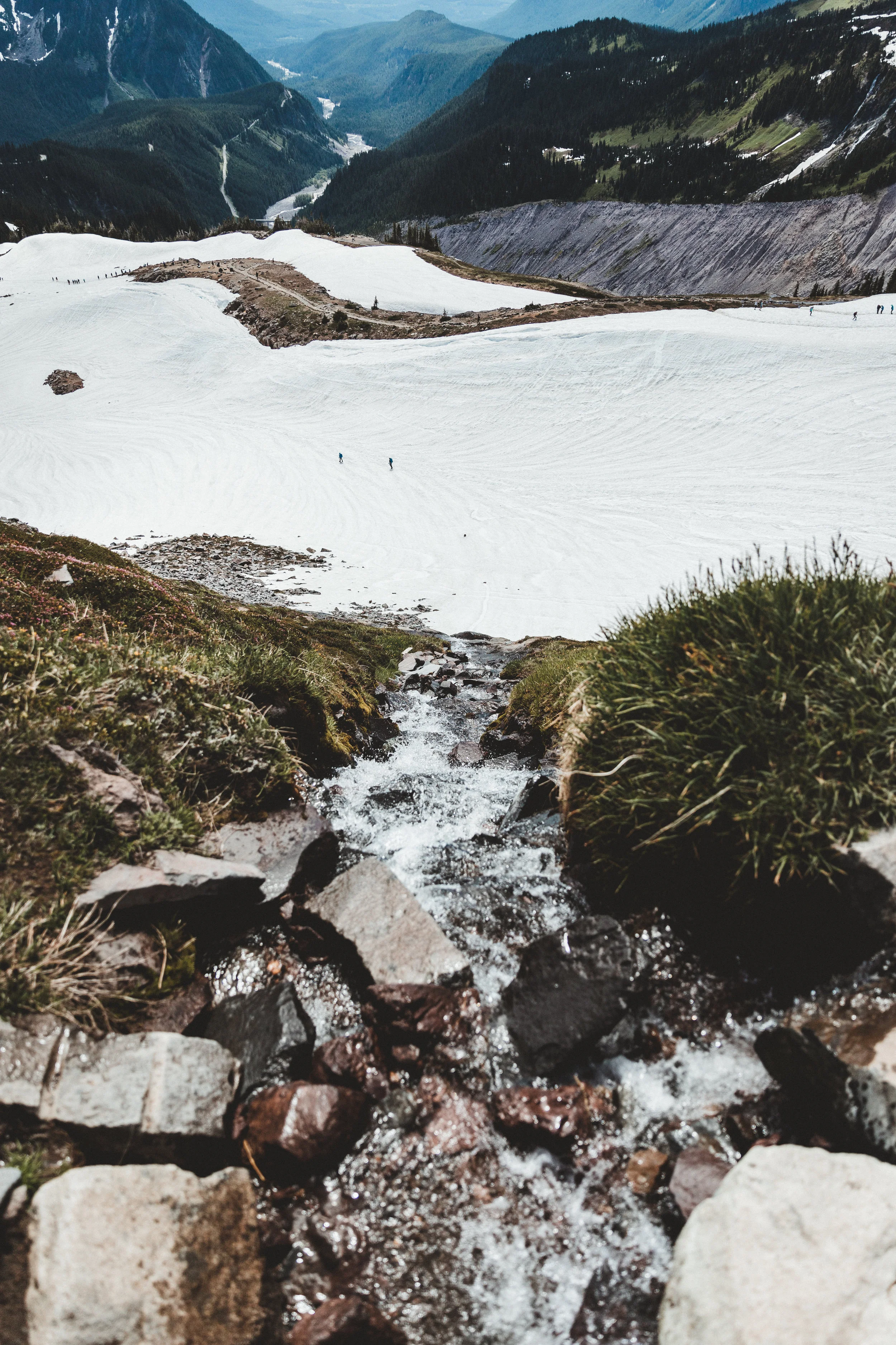 Rainier Edits-157.jpg