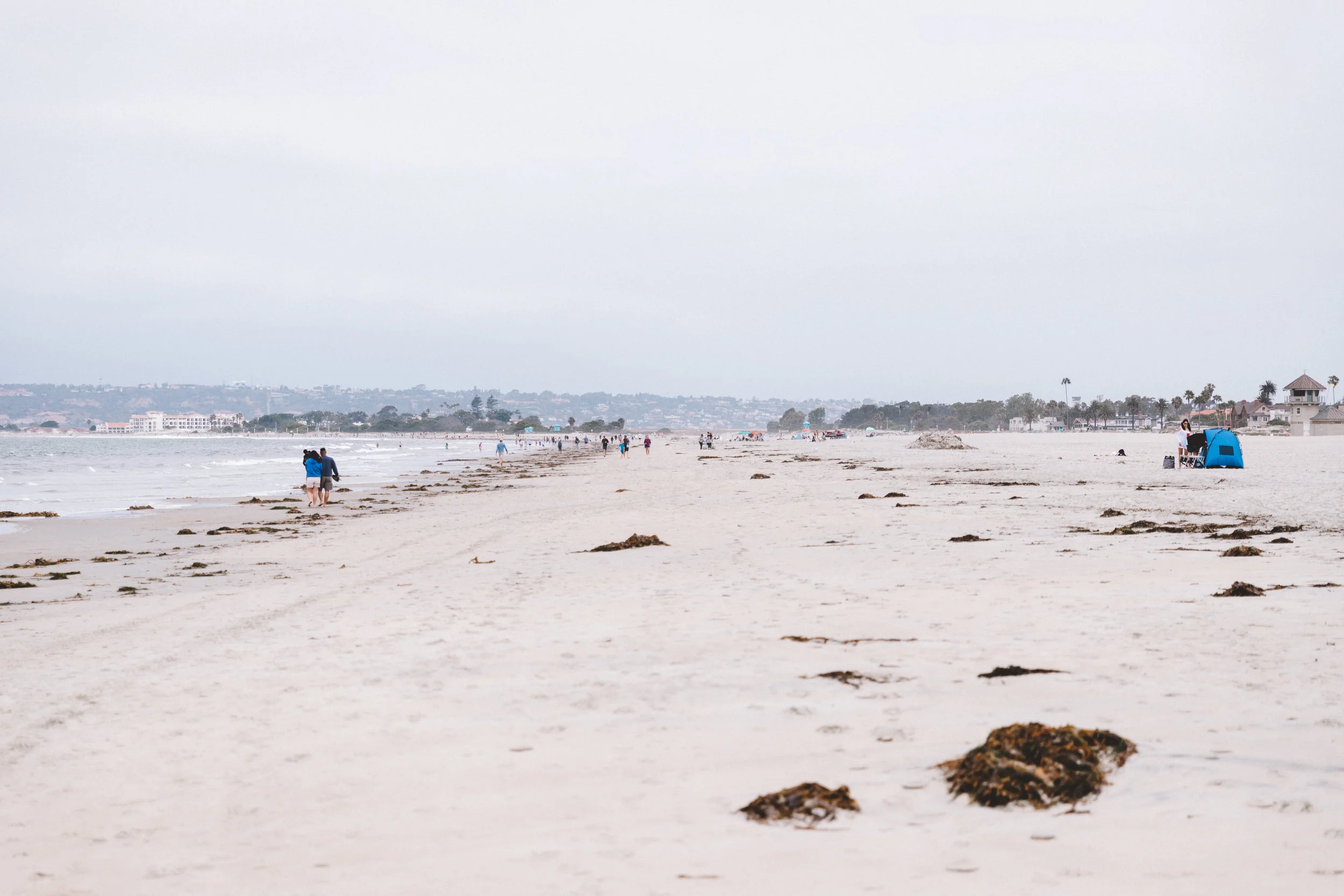SummerScenes18 Edits-60.jpg