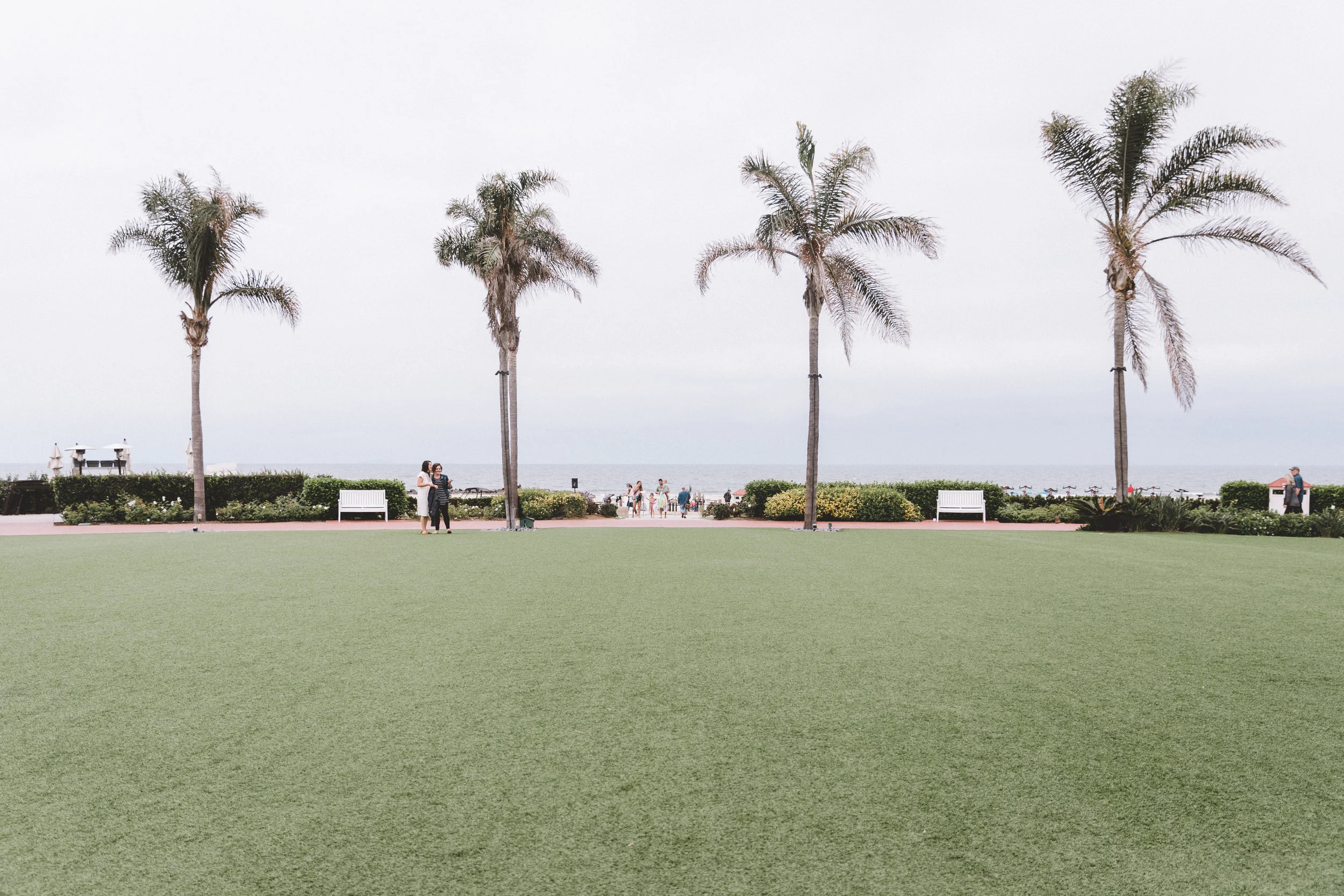 SummerScenes18 Edits-56.jpg