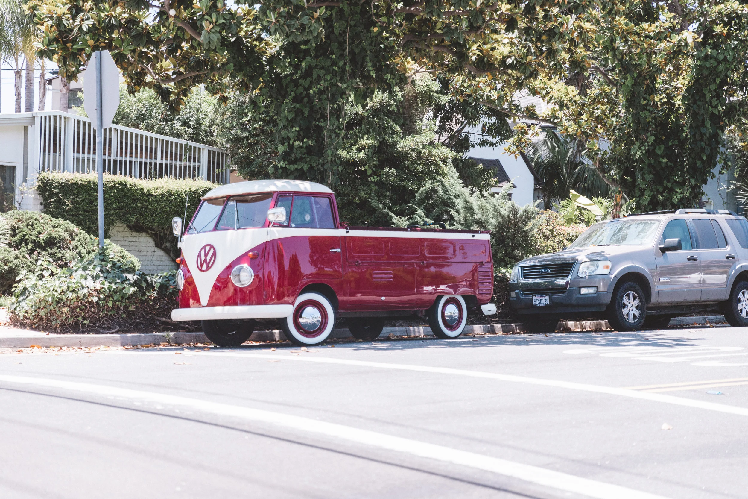 SummerScenes18 Edits-94.jpg