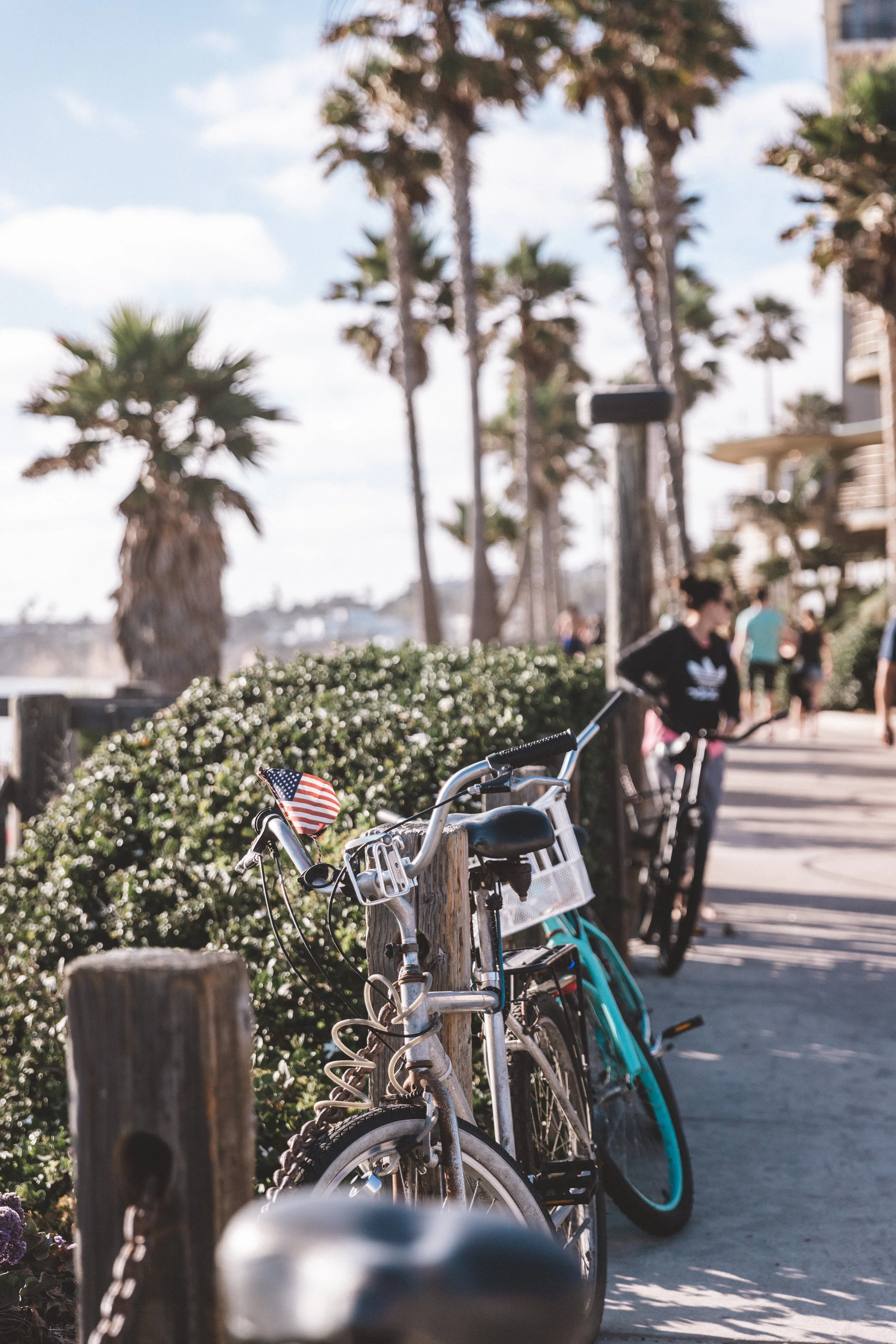 SummerScenes18 Edits-126.jpg