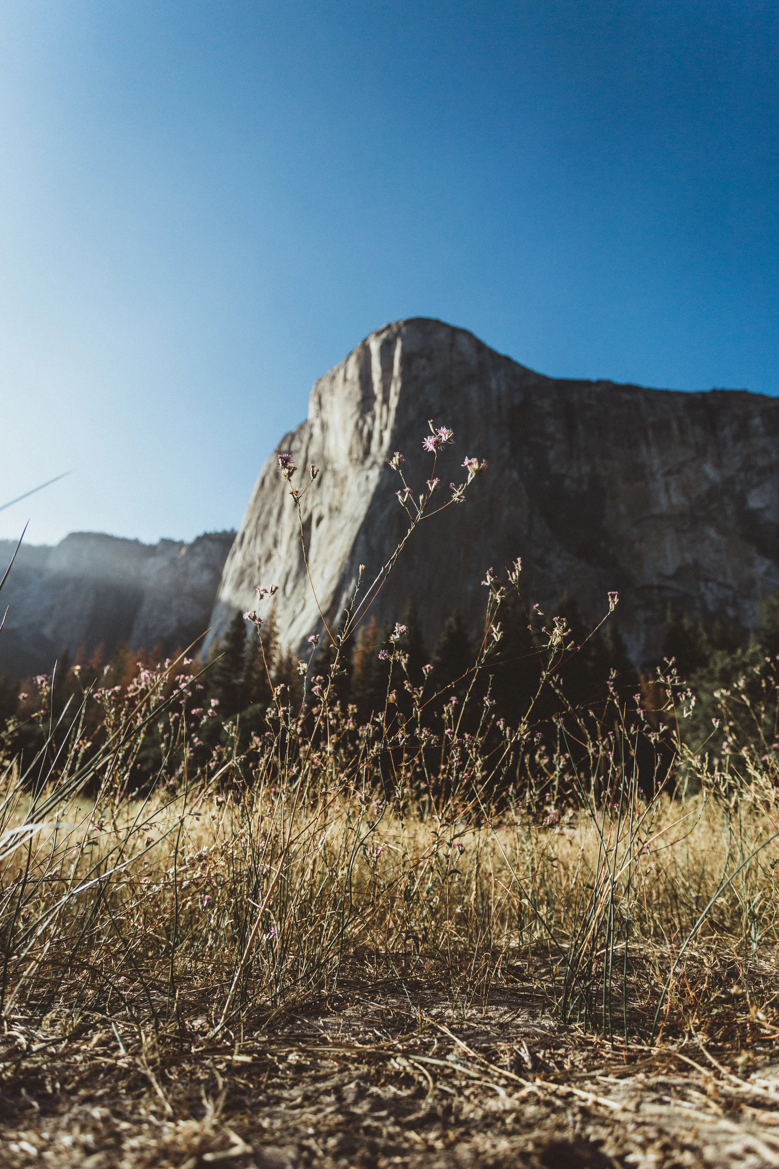 Yosemite16 Edits-183.jpg