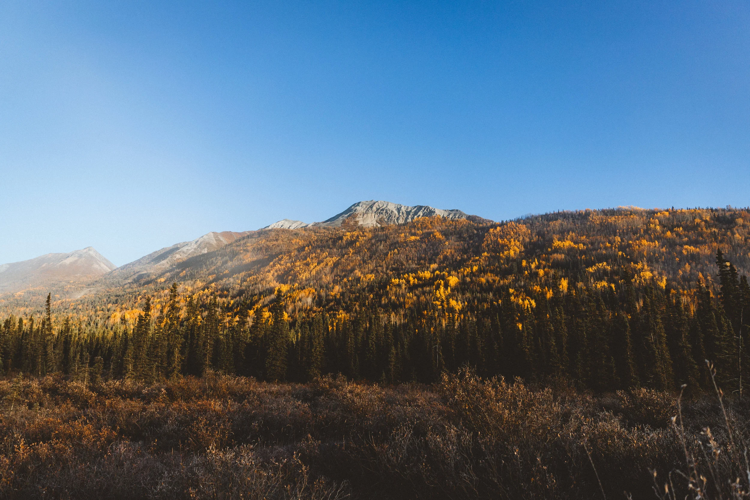 Alaska Edits-102.jpg
