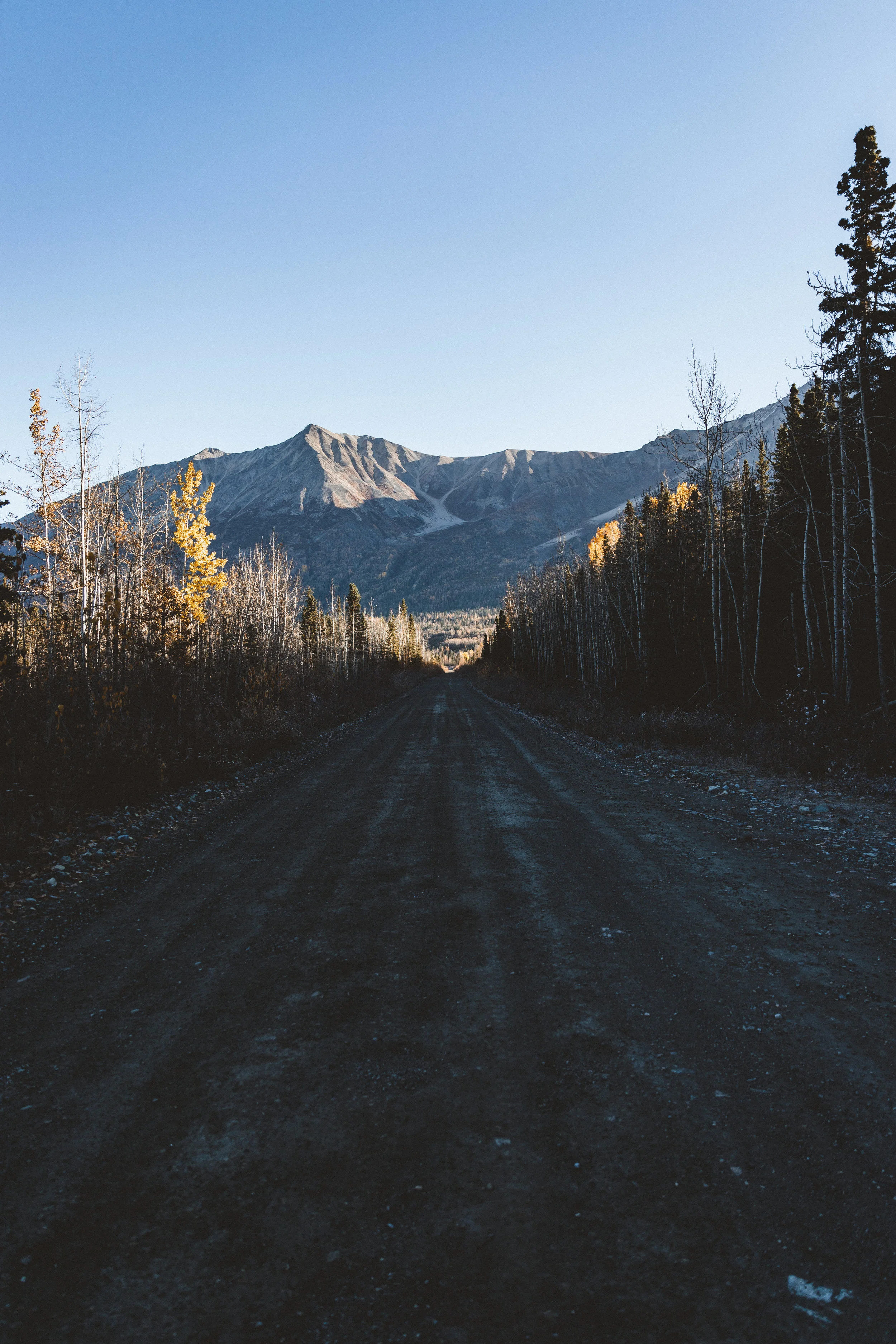 Alaska Edits-109.jpg
