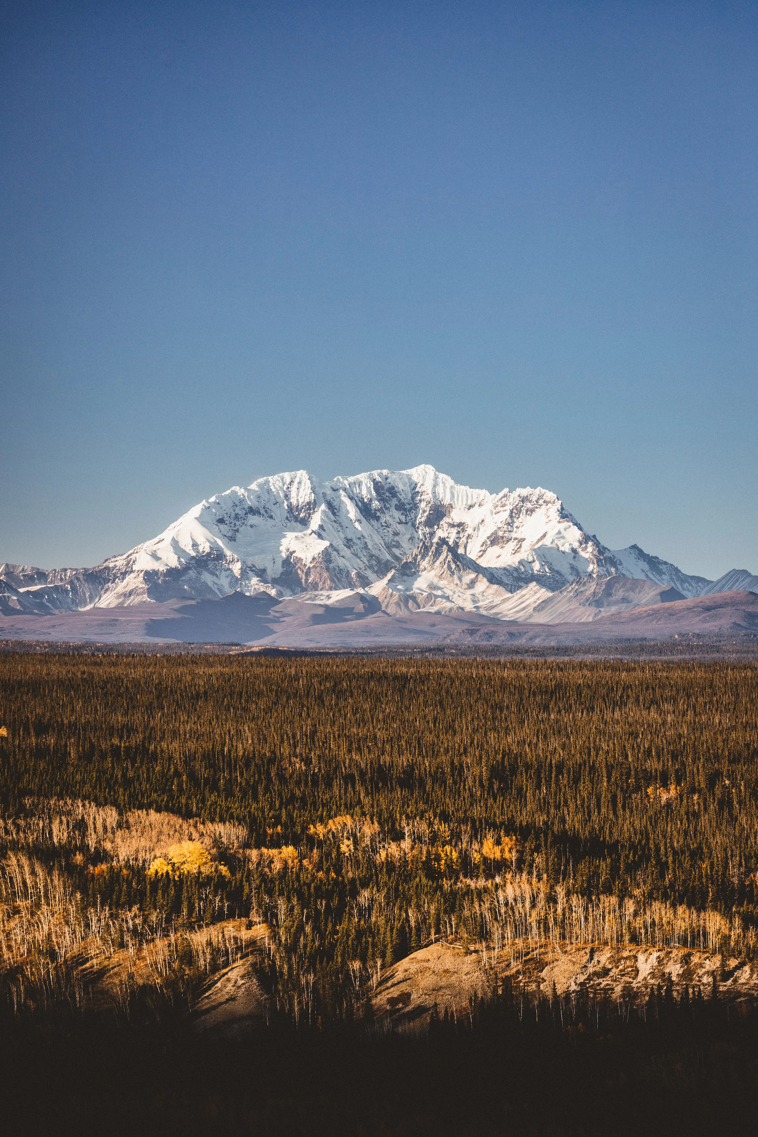 Alaska Edits-166.jpg