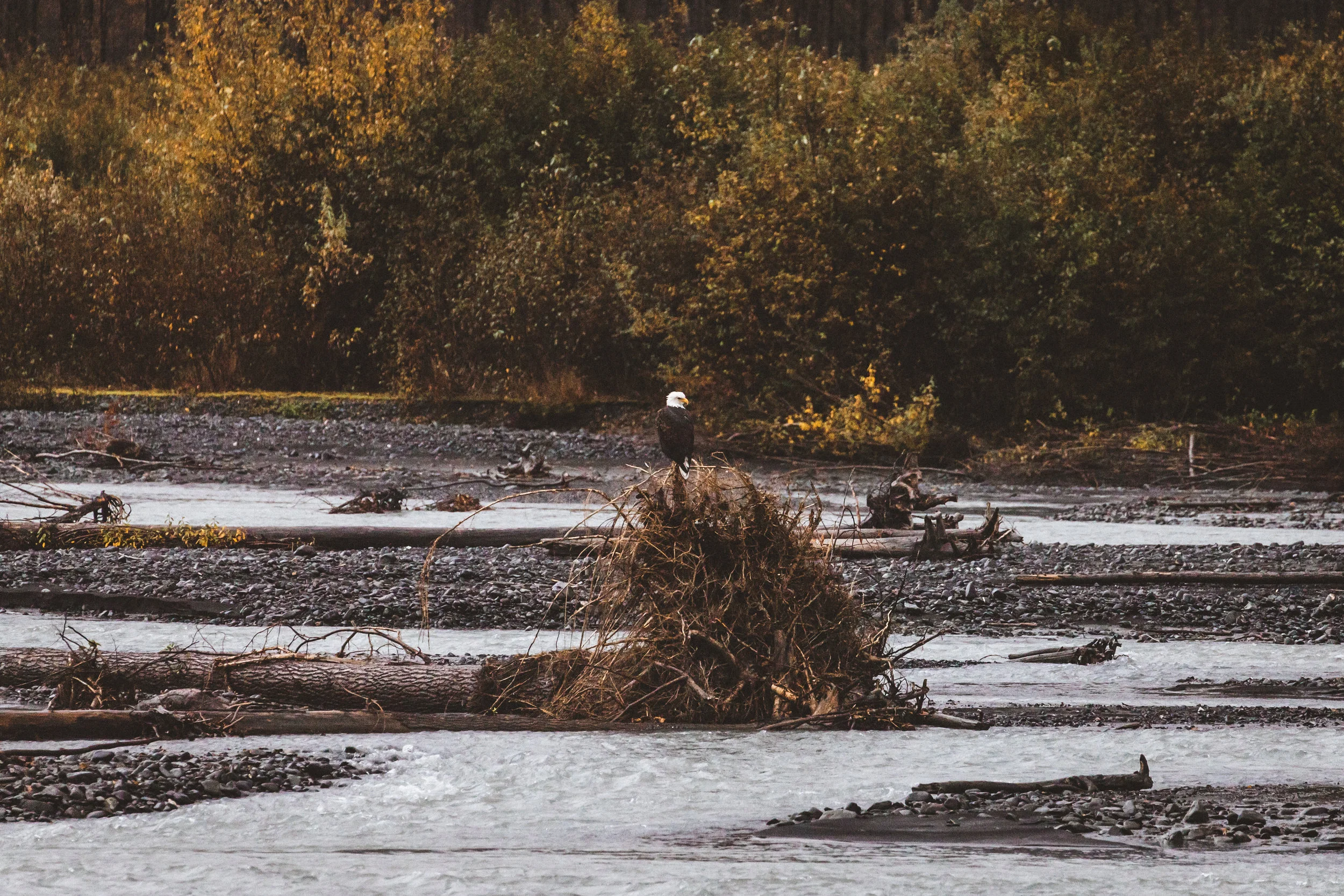 Alaska Edits-279.jpg