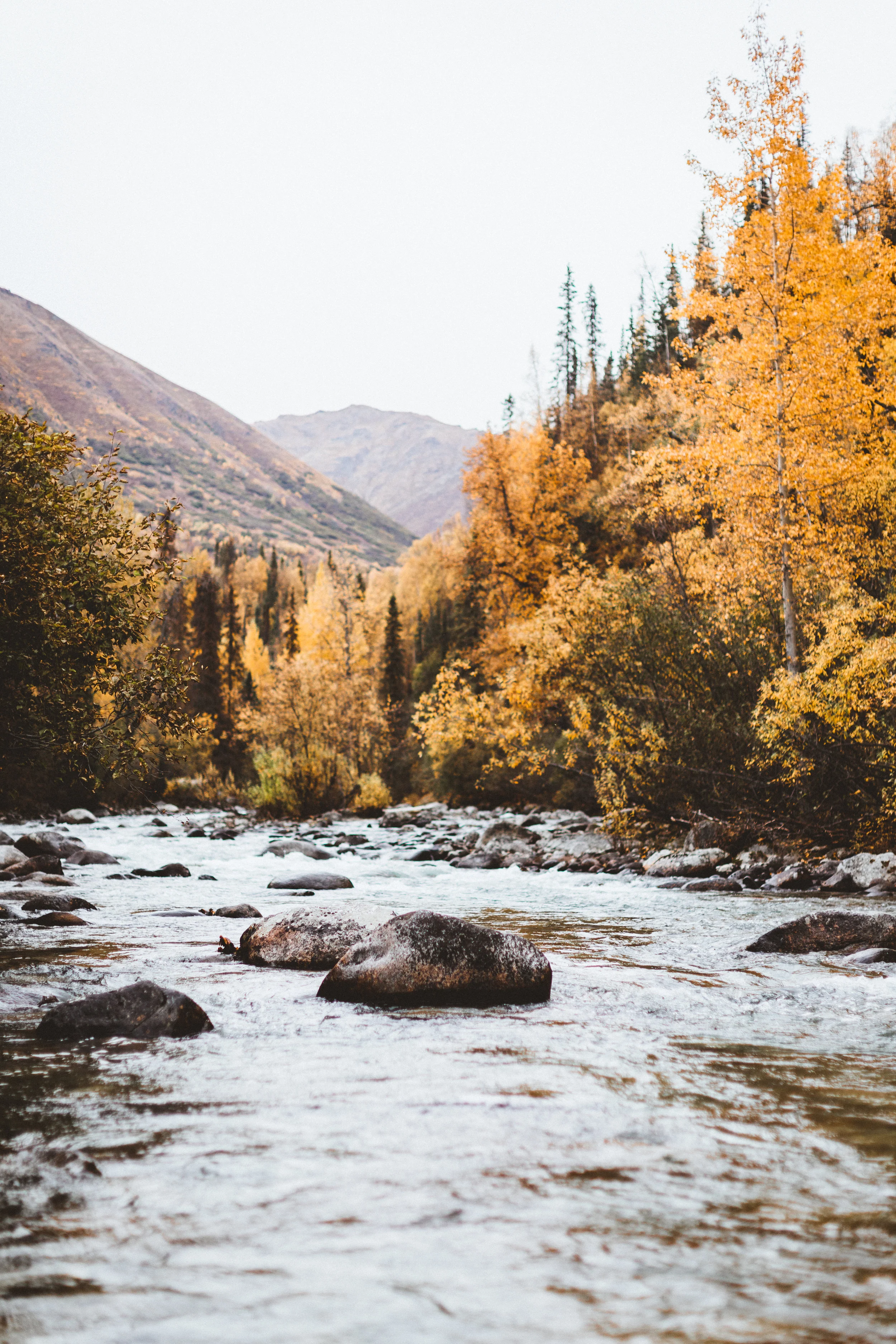 Alaska Edits-200.jpg