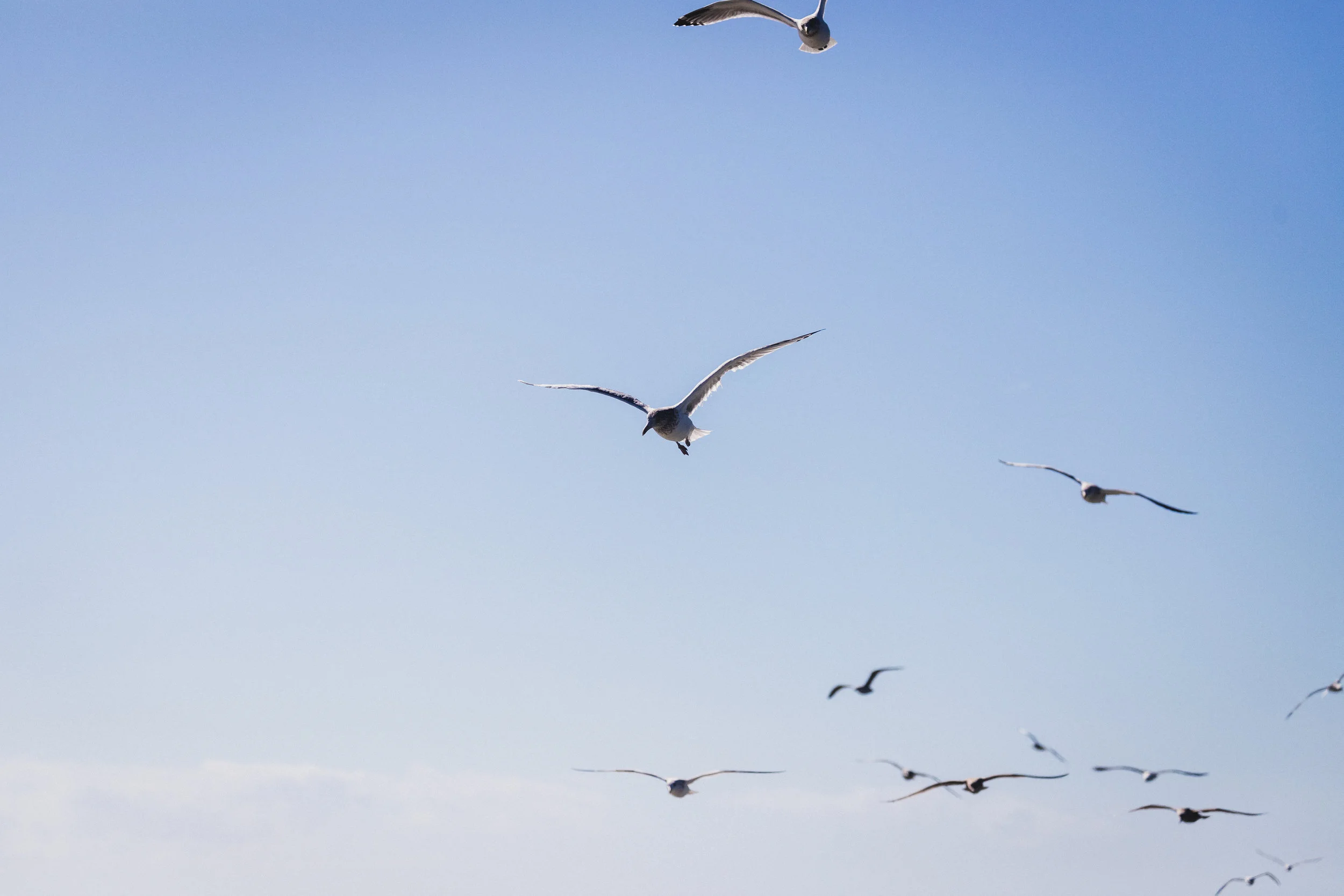 Outer Banks Edits-12.jpg