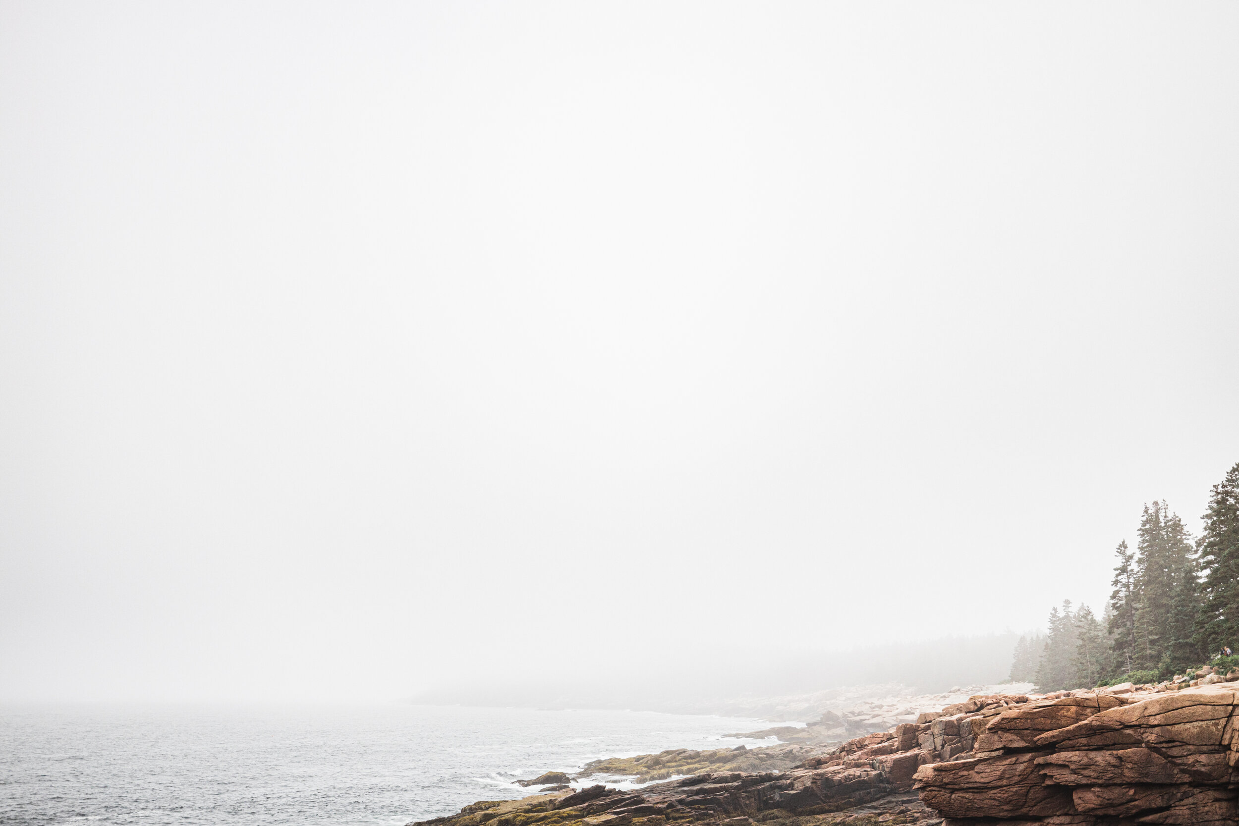 MOUNT DESERT FOG
