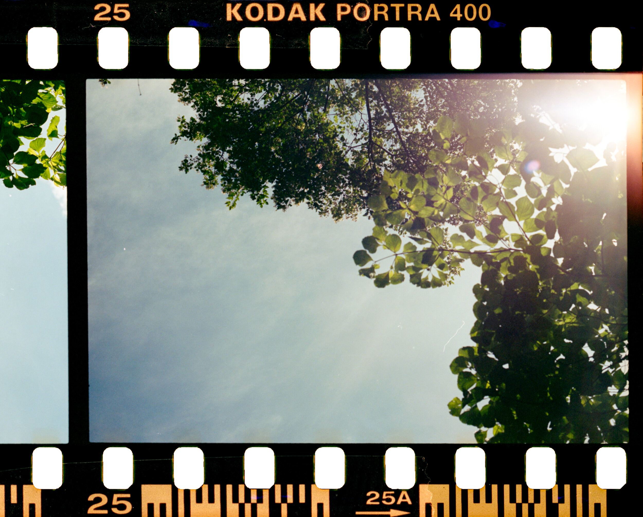 KGMxFILM_035.jpg