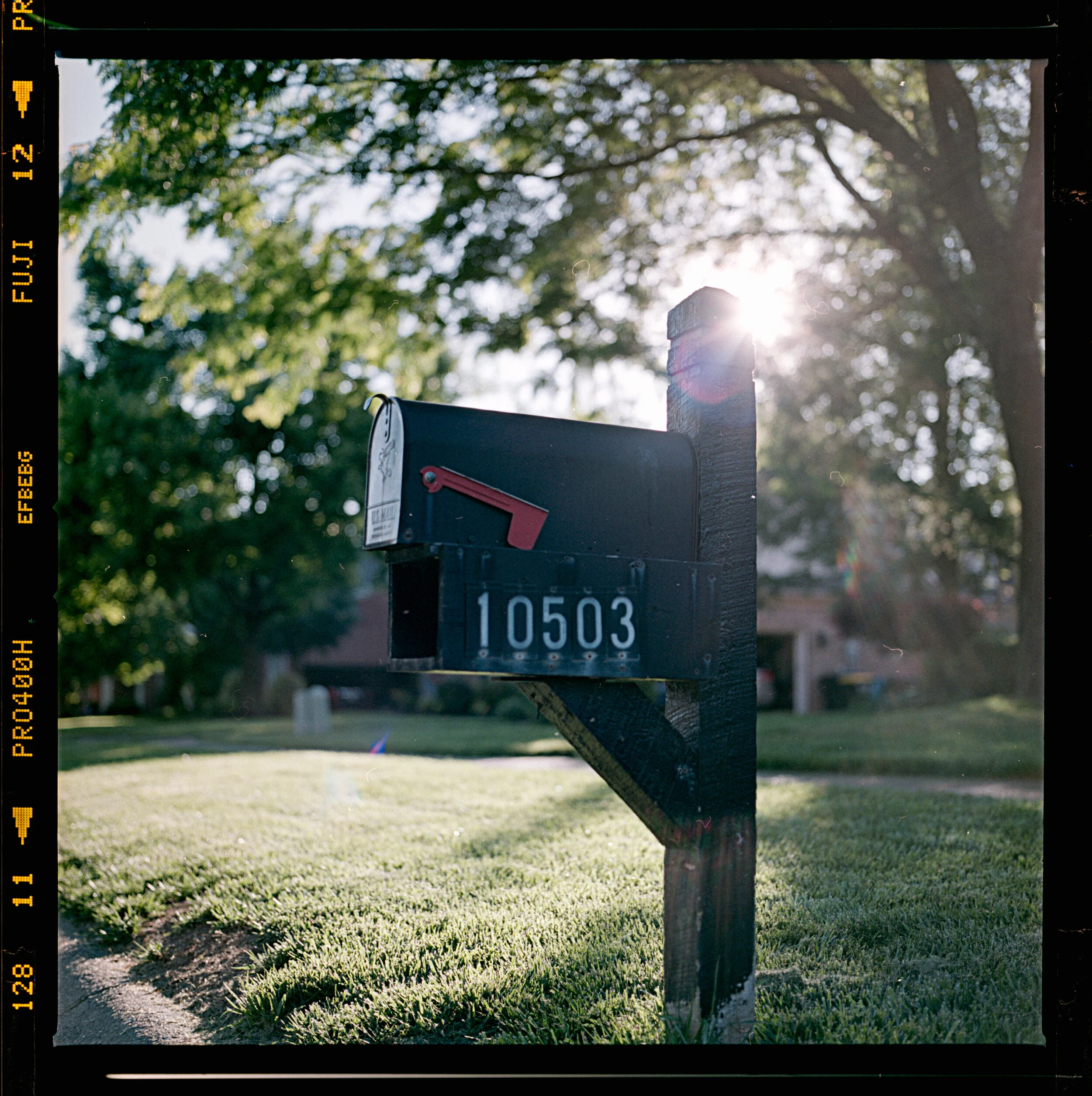 KGMxFILM_042.jpg