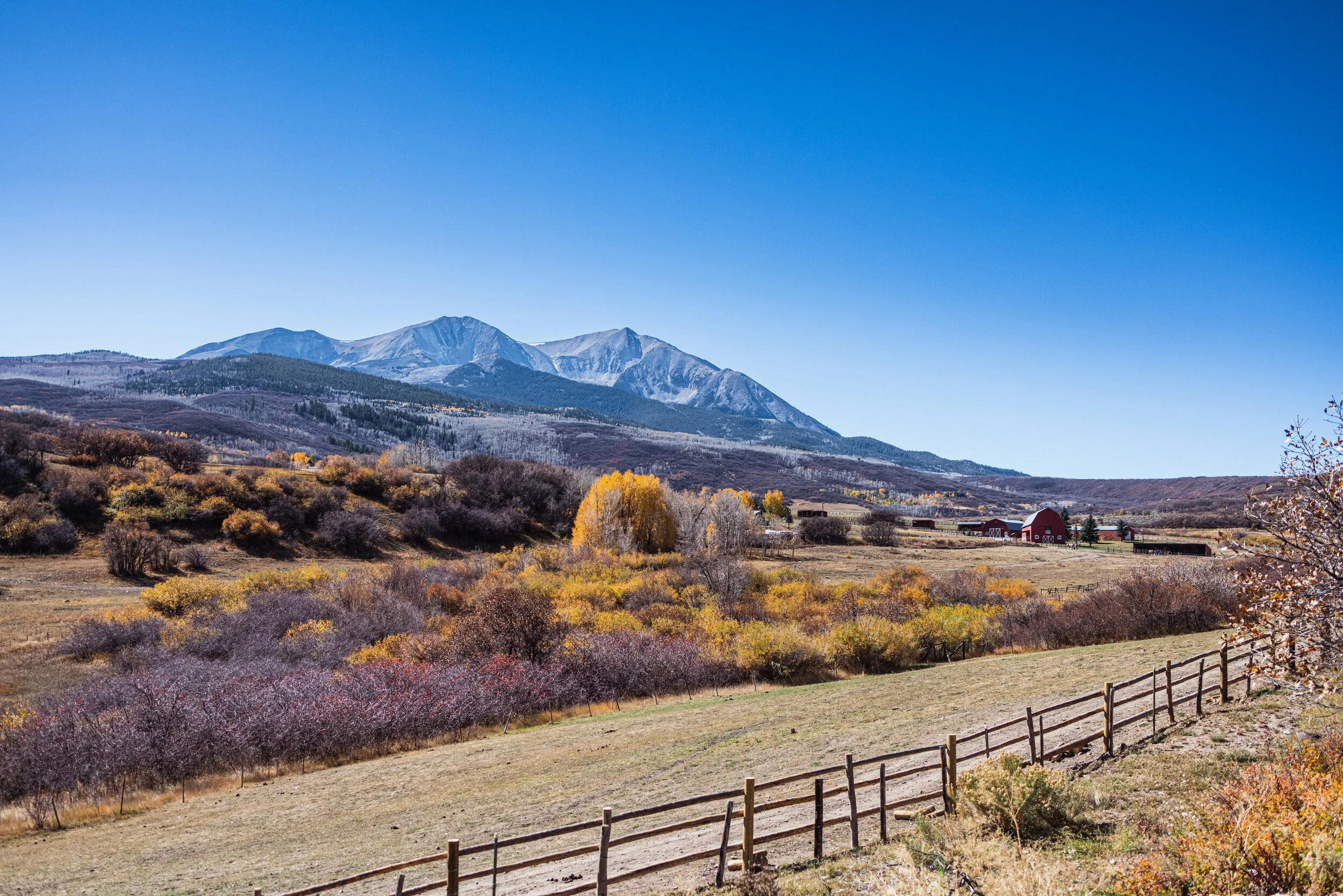 ASPEN AUTUMN