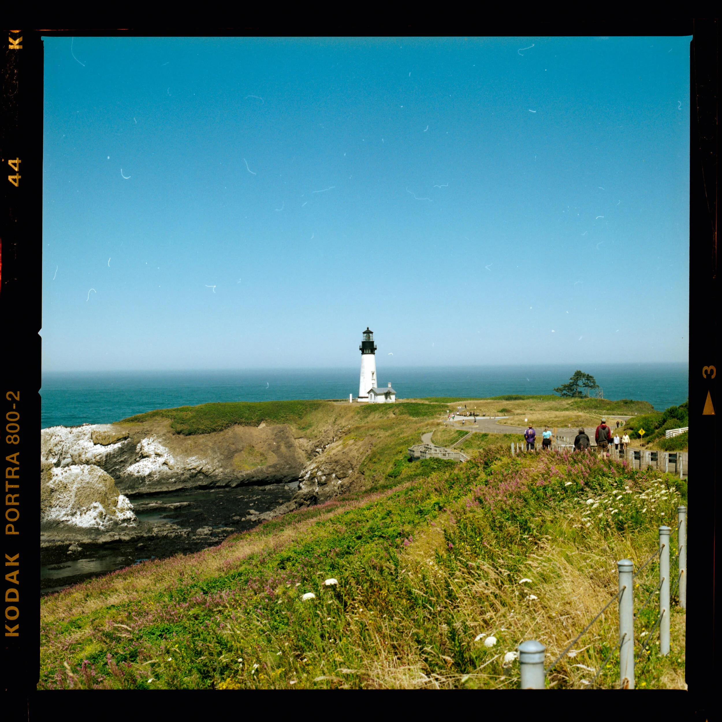 borderscan-2.jpg