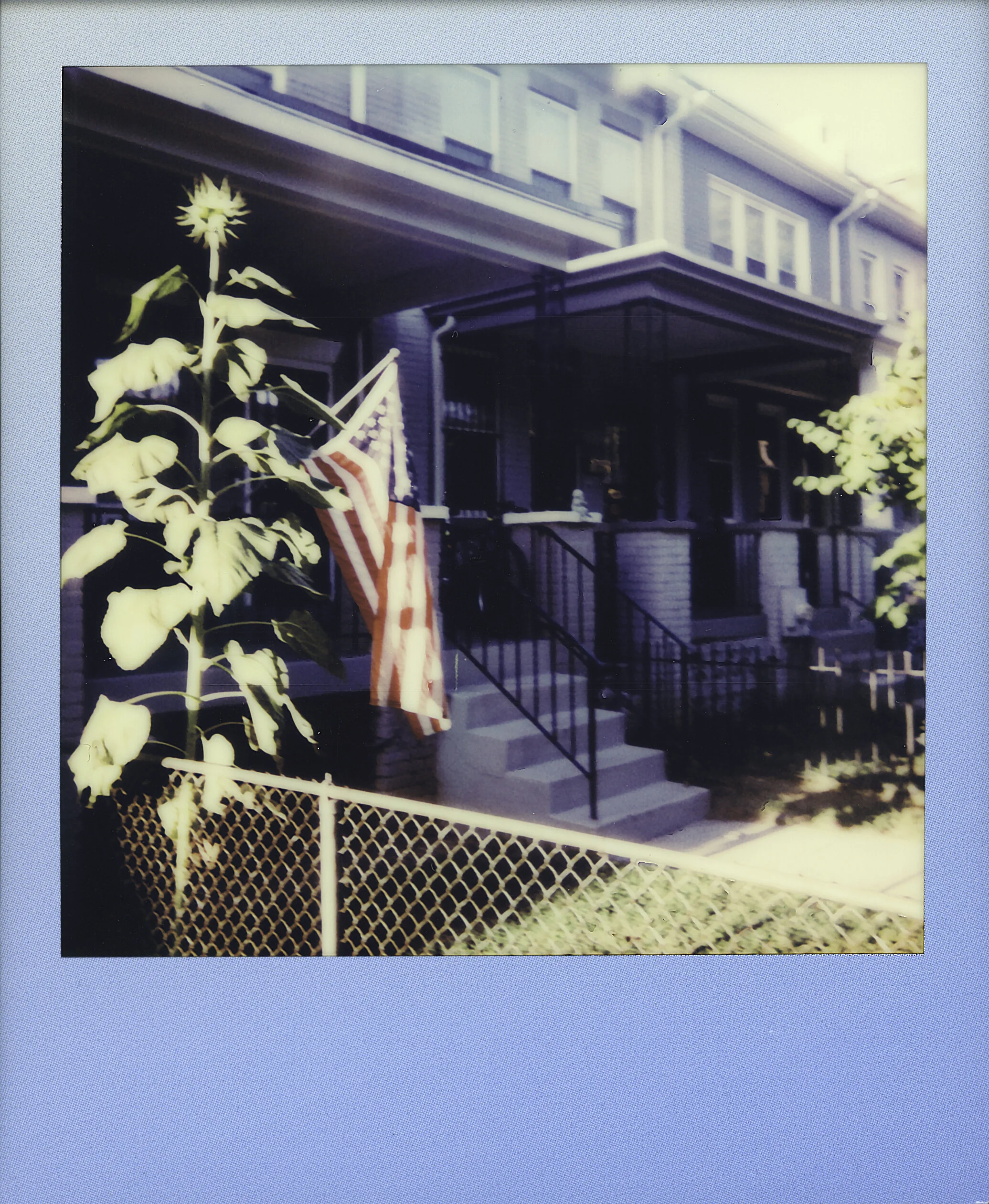 POLAROID_001-Edit.jpeg