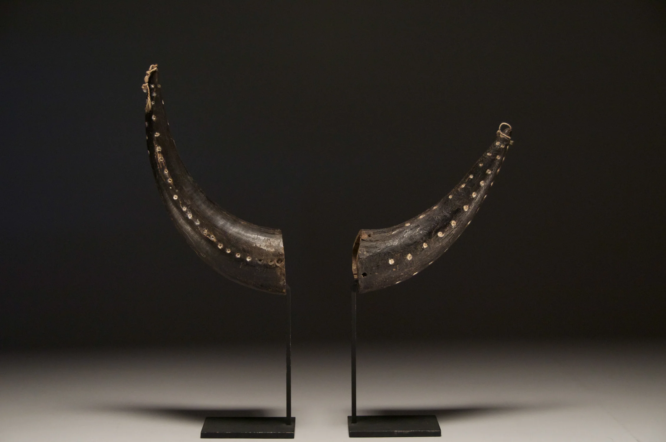 Buffalo Headdress Horns