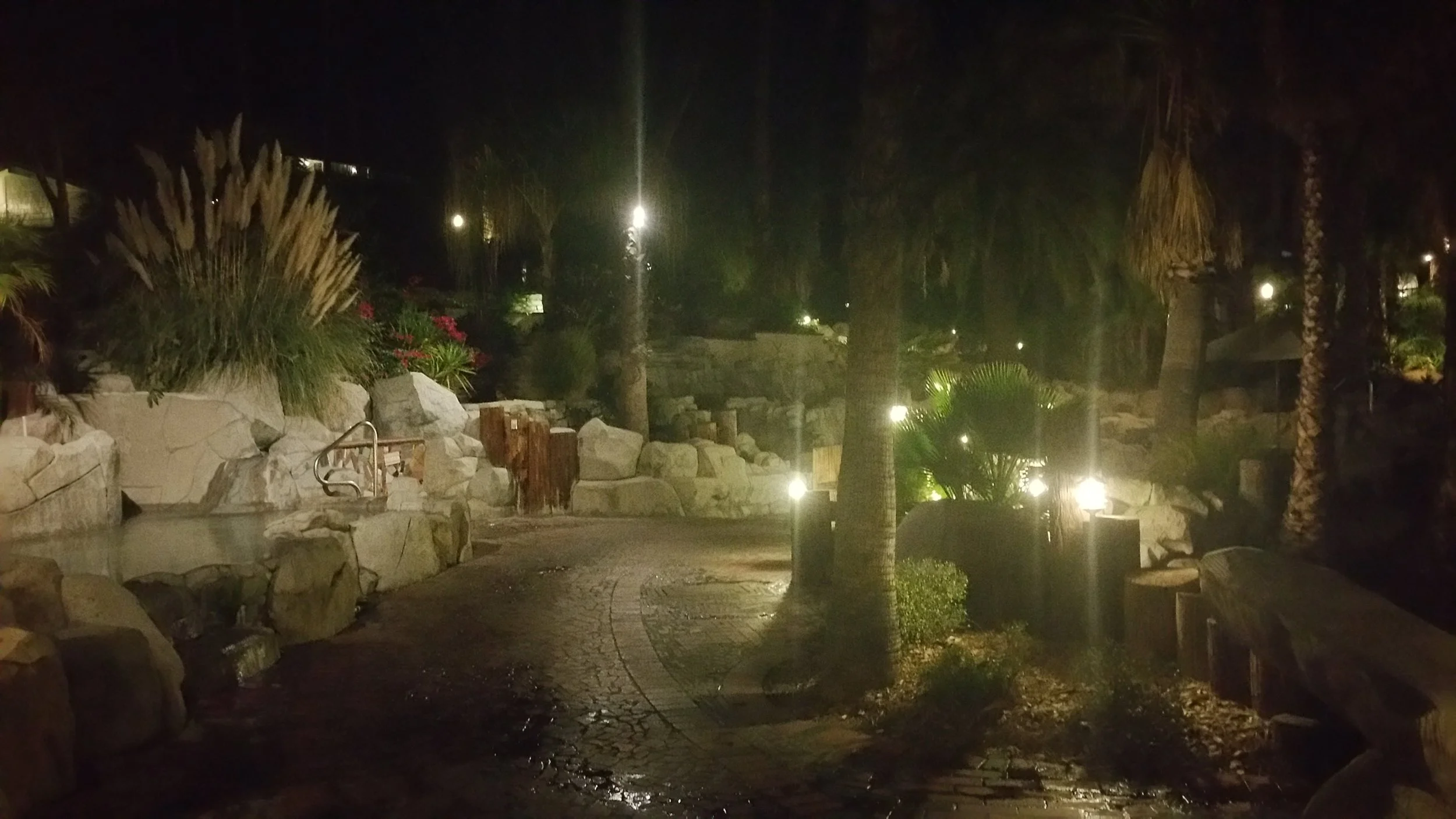 20161030_010541.jpg