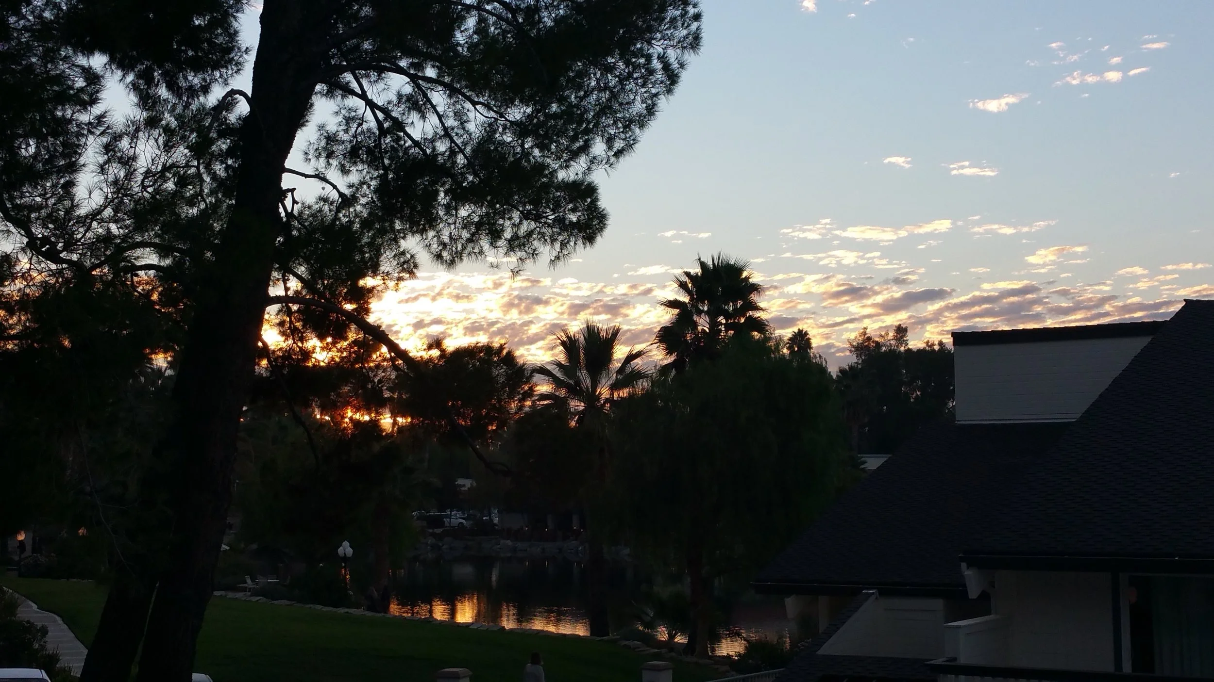 20161029_071942.jpg