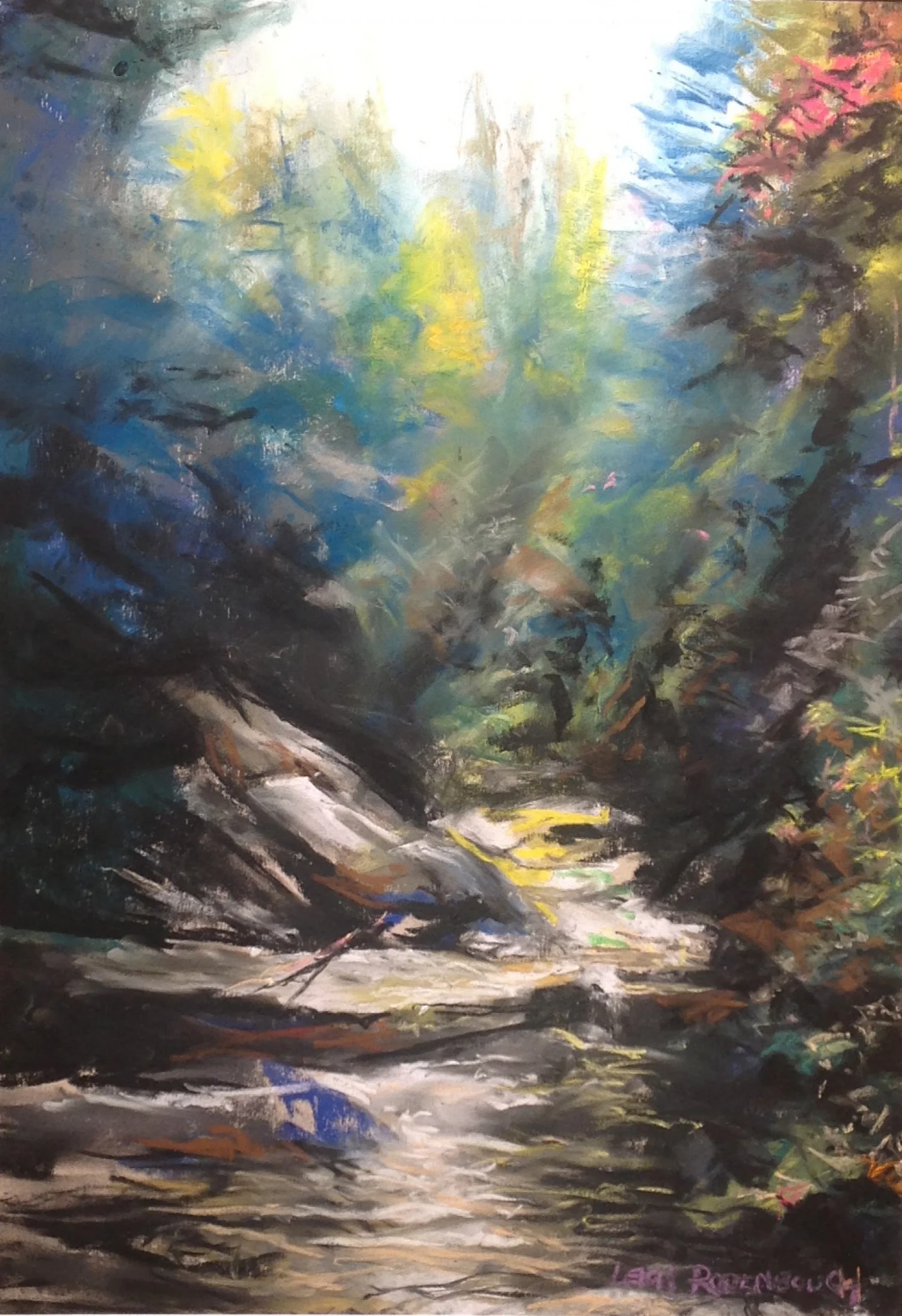 Blue Ridge Mountain Stream, Leigh Rodenbough