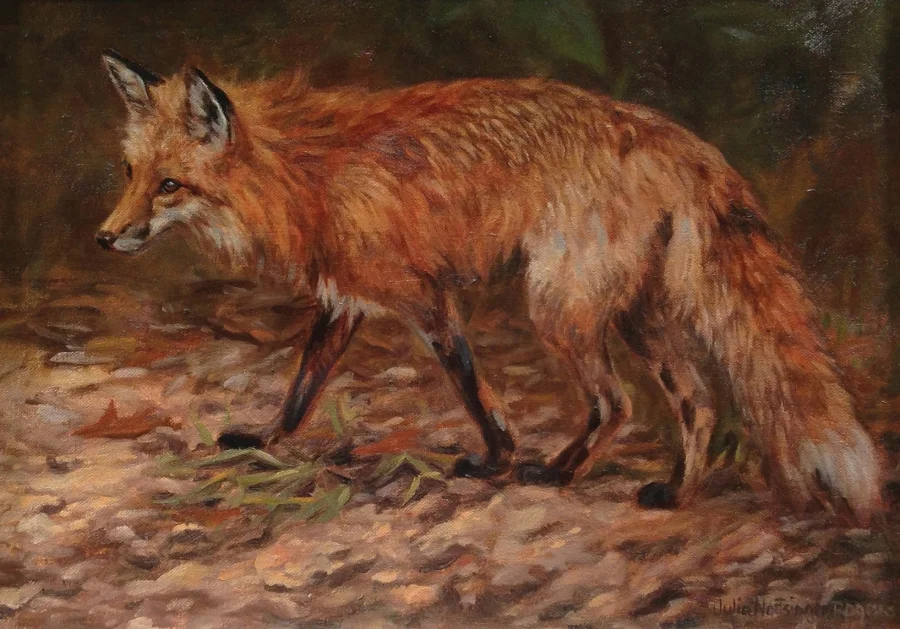 Red Fox, Julia Rogers