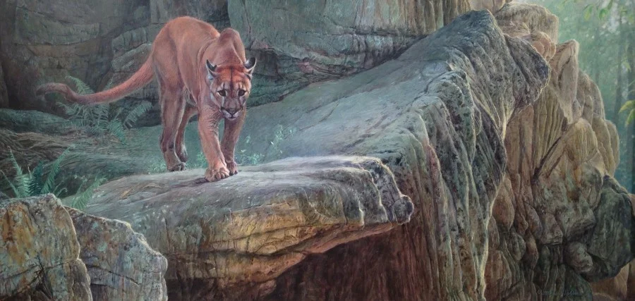 Warm Light, Cool Shadows - Matthew Hillier